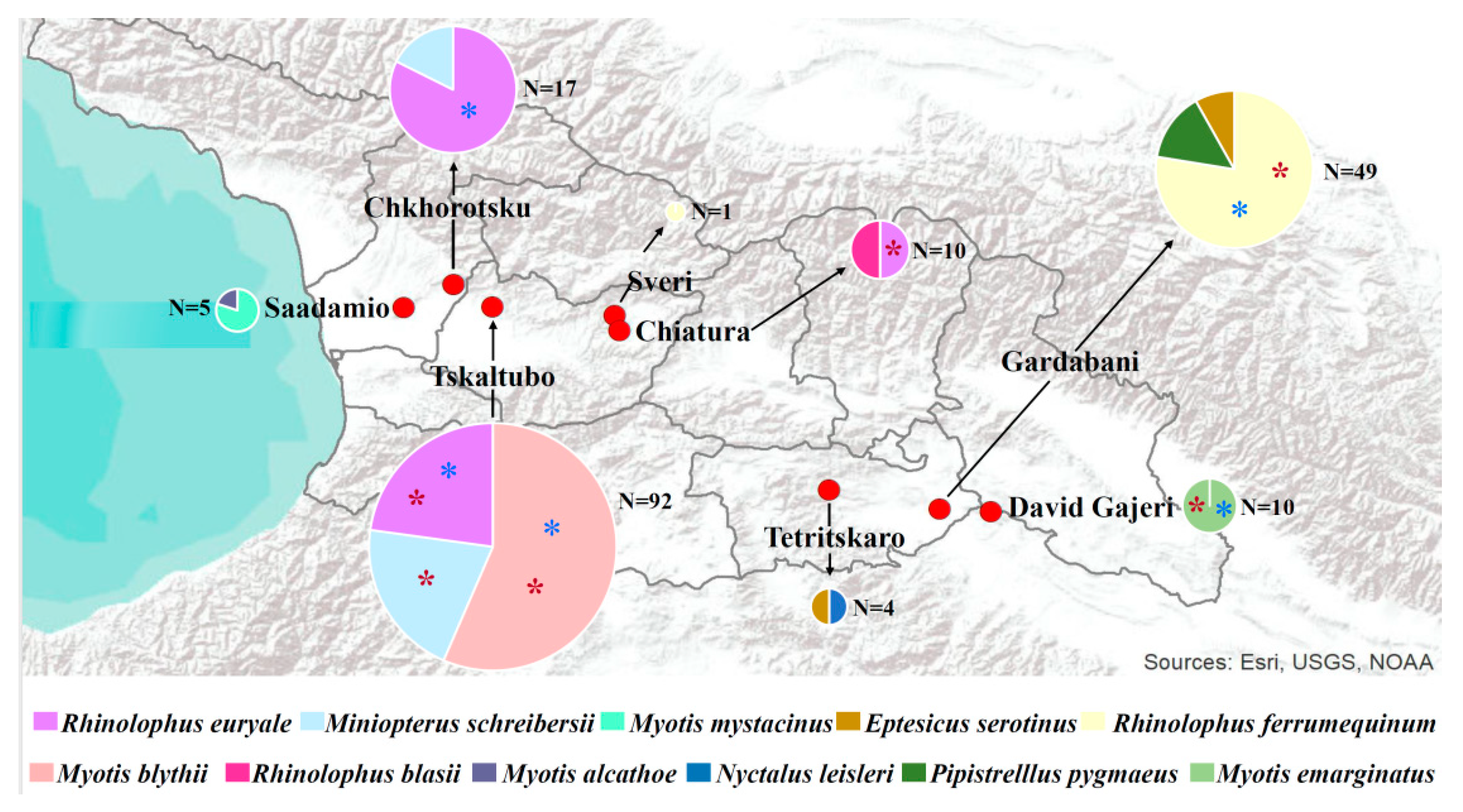 Viruses 14 00072 g001