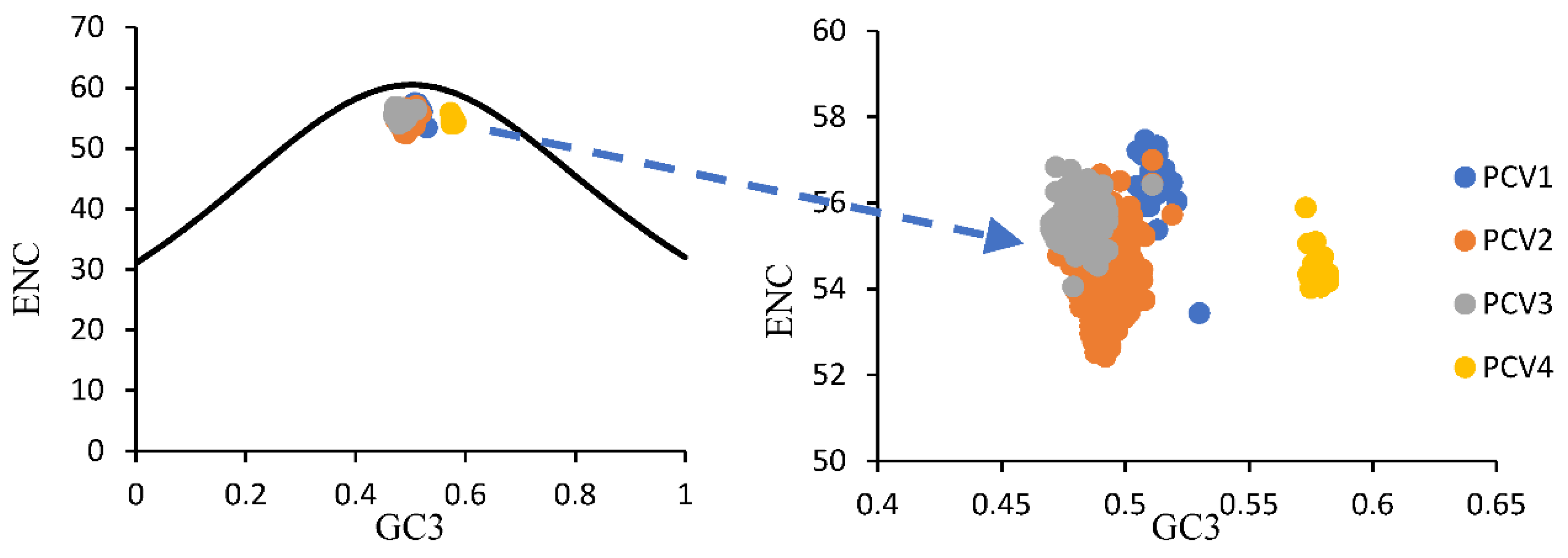 Viruses 14 00081 g002