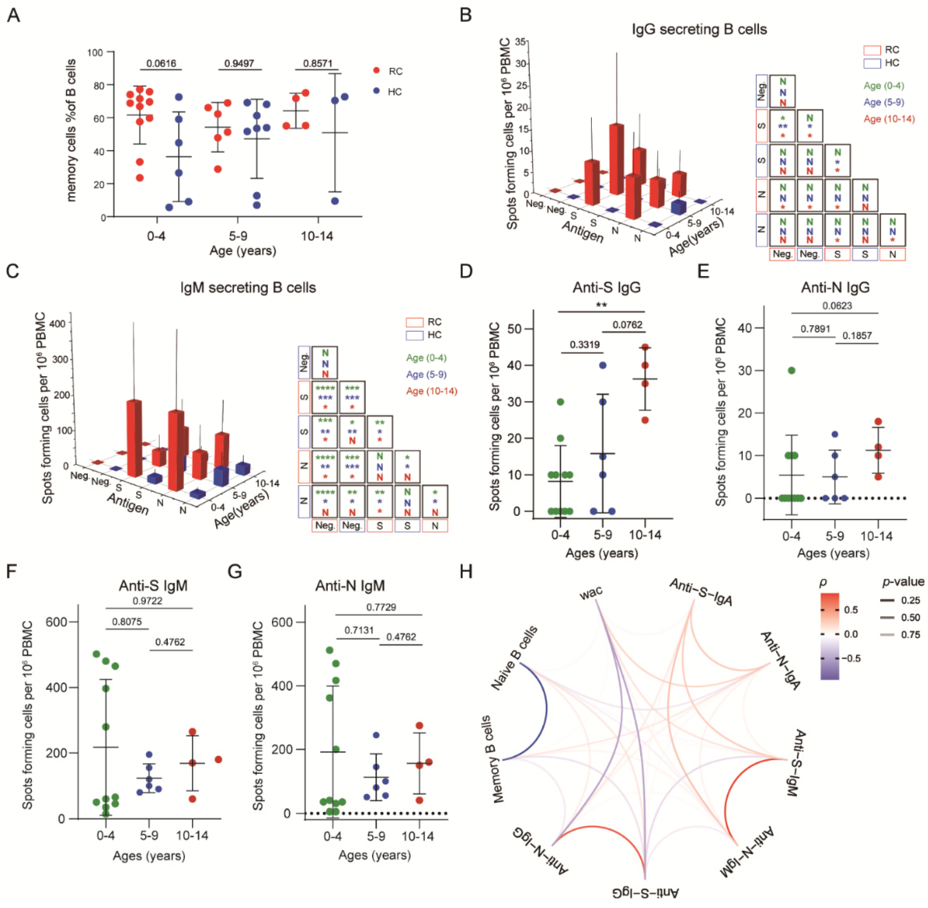 Viruses 14 00085 g004
