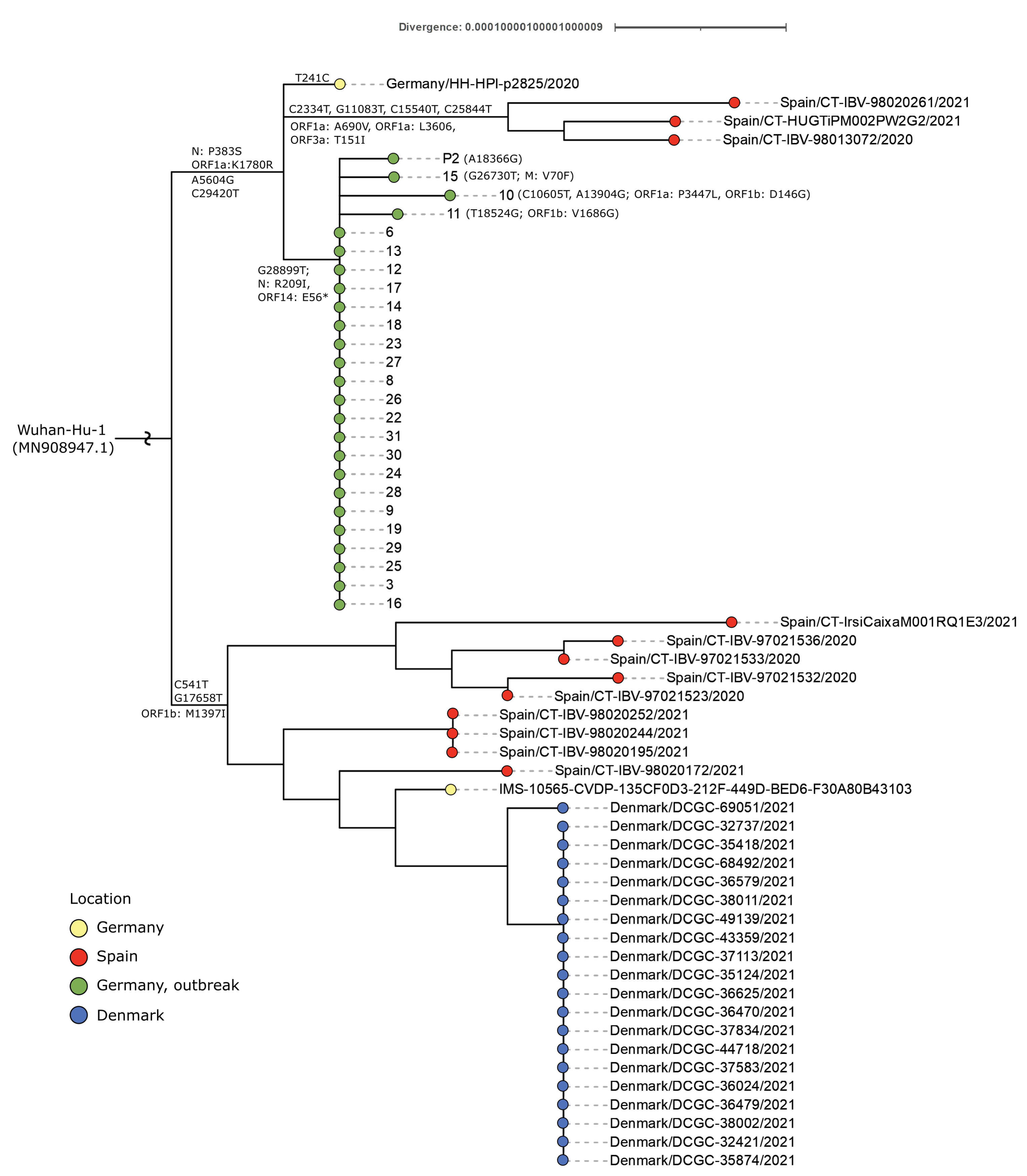 Viruses 14 00087 g002