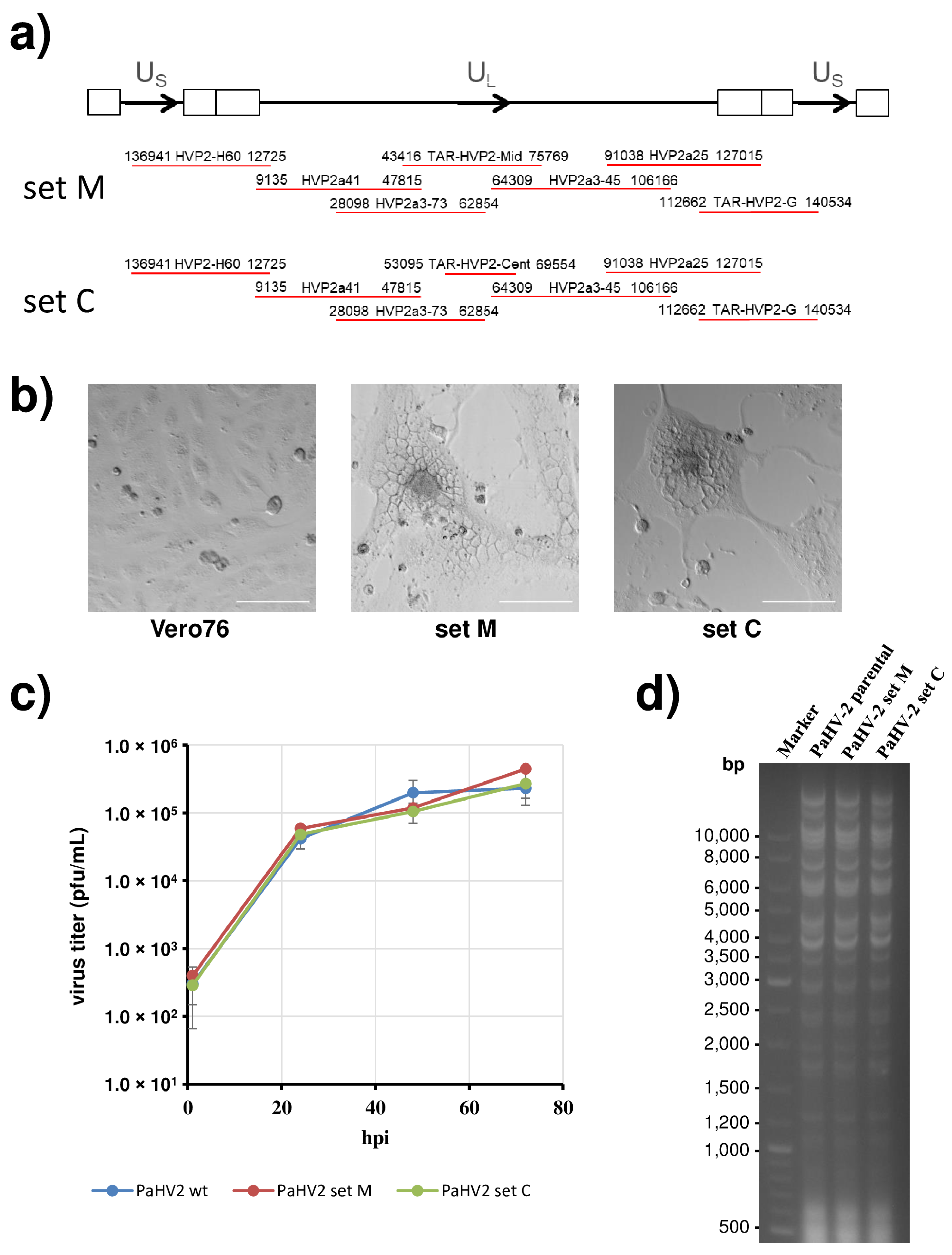 Viruses 14 00091 g002 Viruses 14 00091 g002