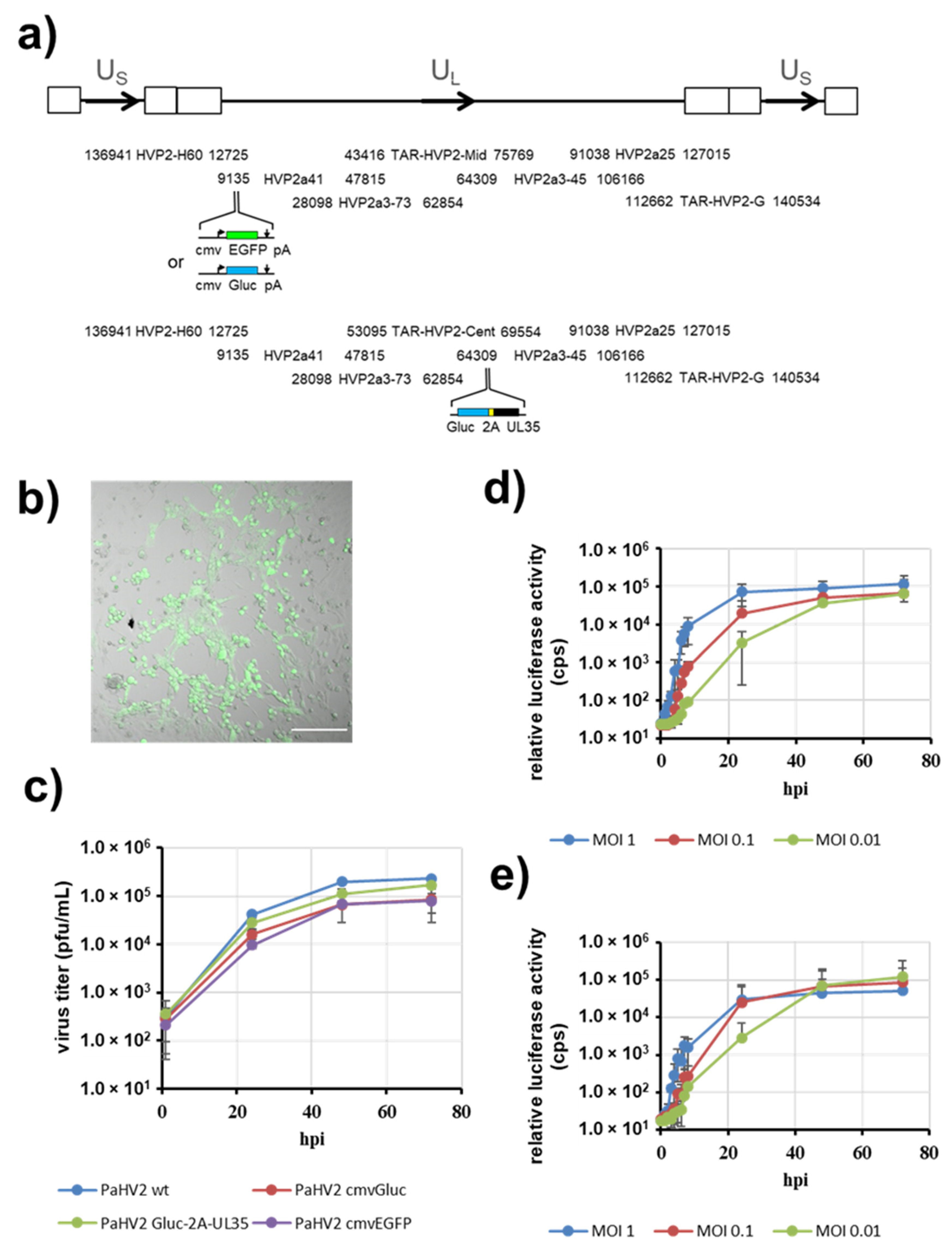 Viruses 14 00091 g003 Viruses 14 00091 g003