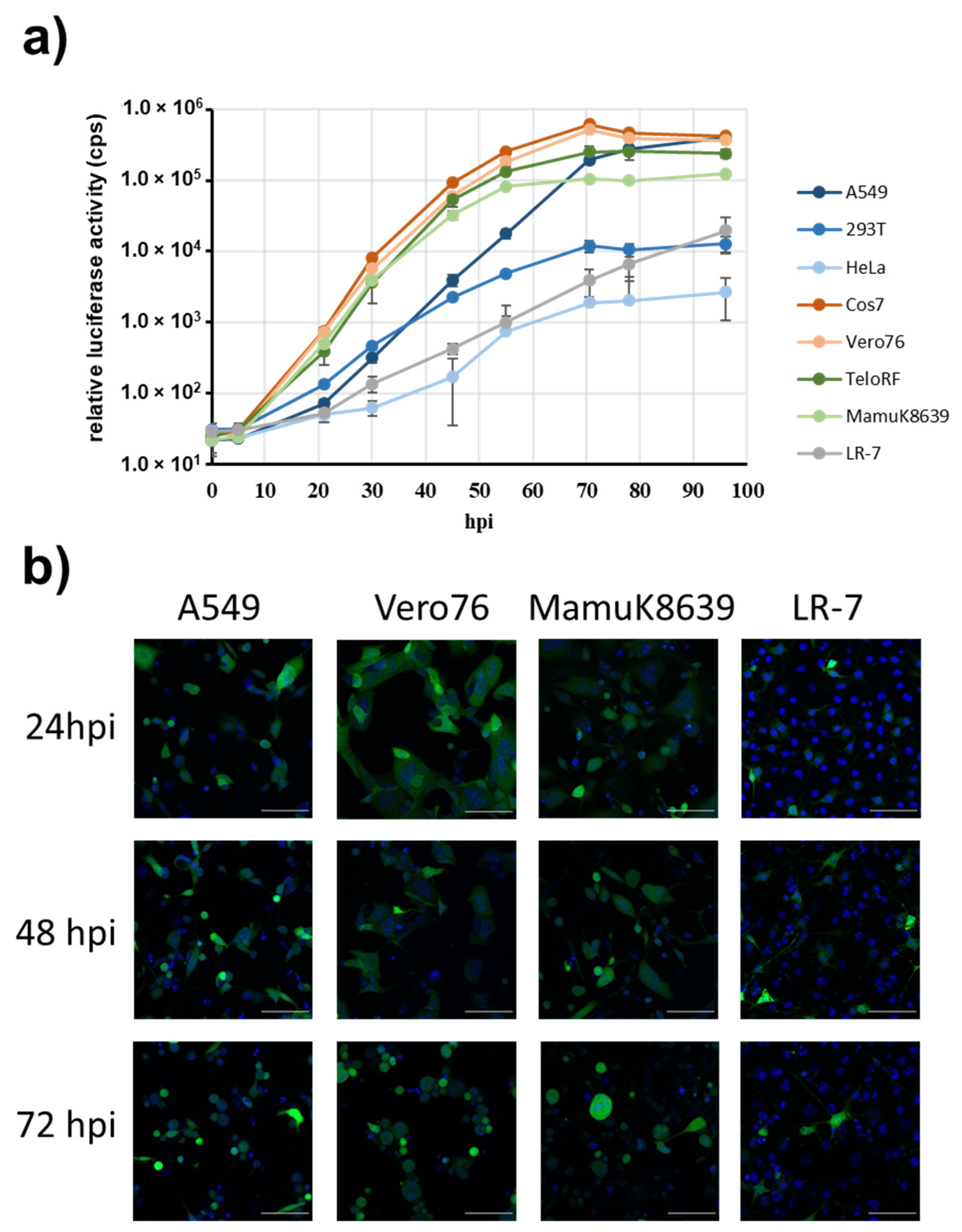 Viruses 14 00091 g004 Viruses 14 00091 g004