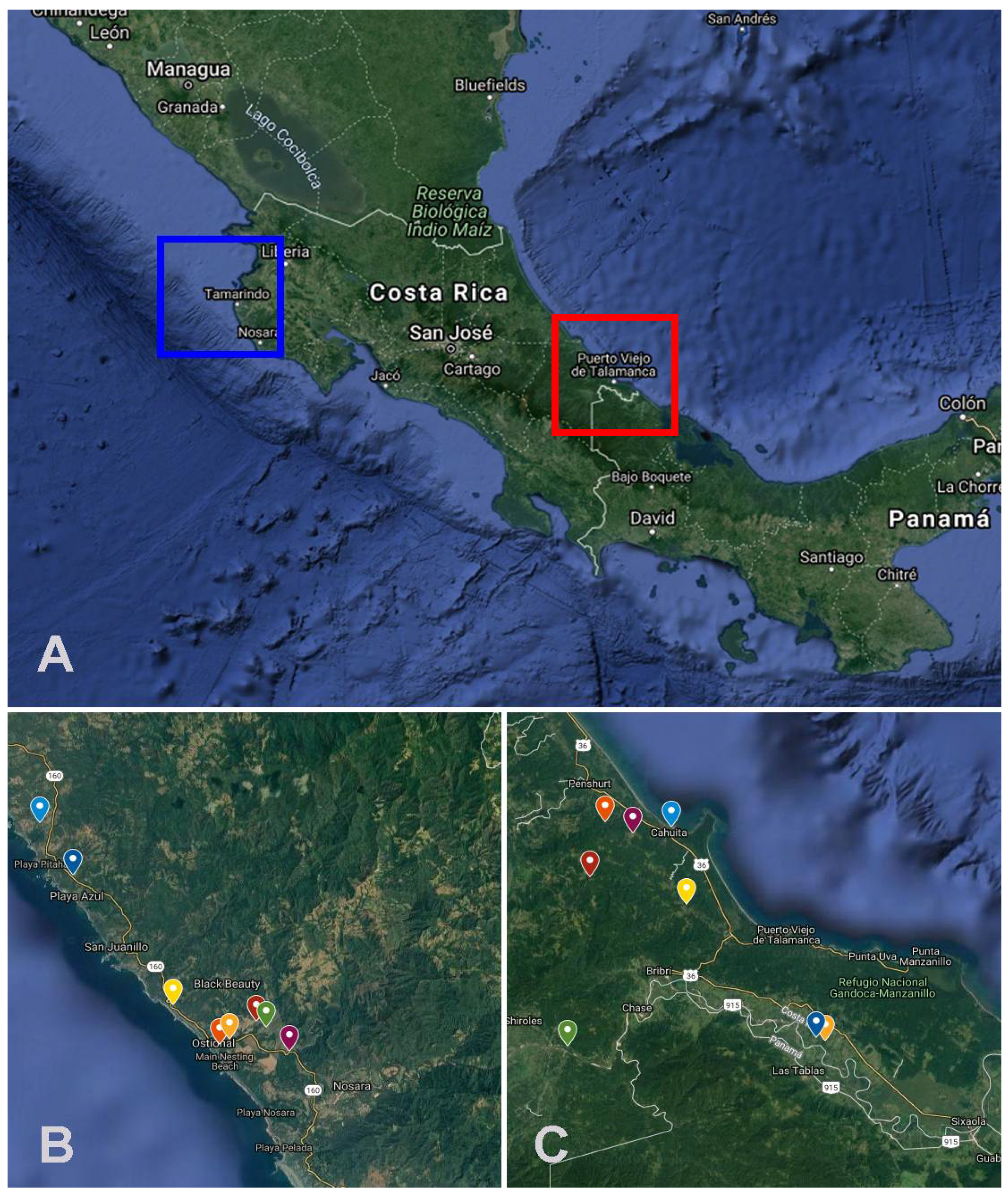 Viruses 14 00093 g001