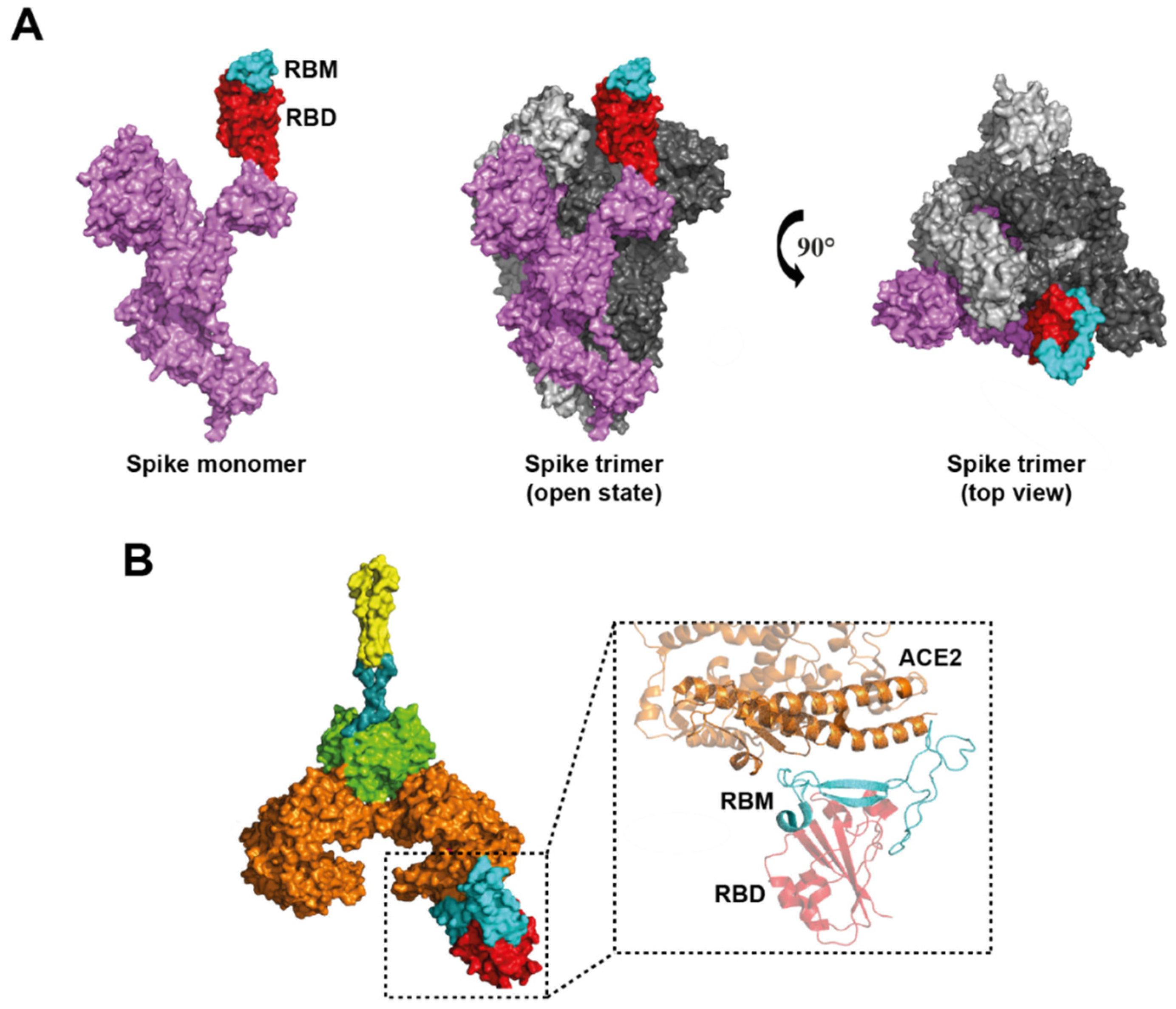 Viruses 14 00094 g005