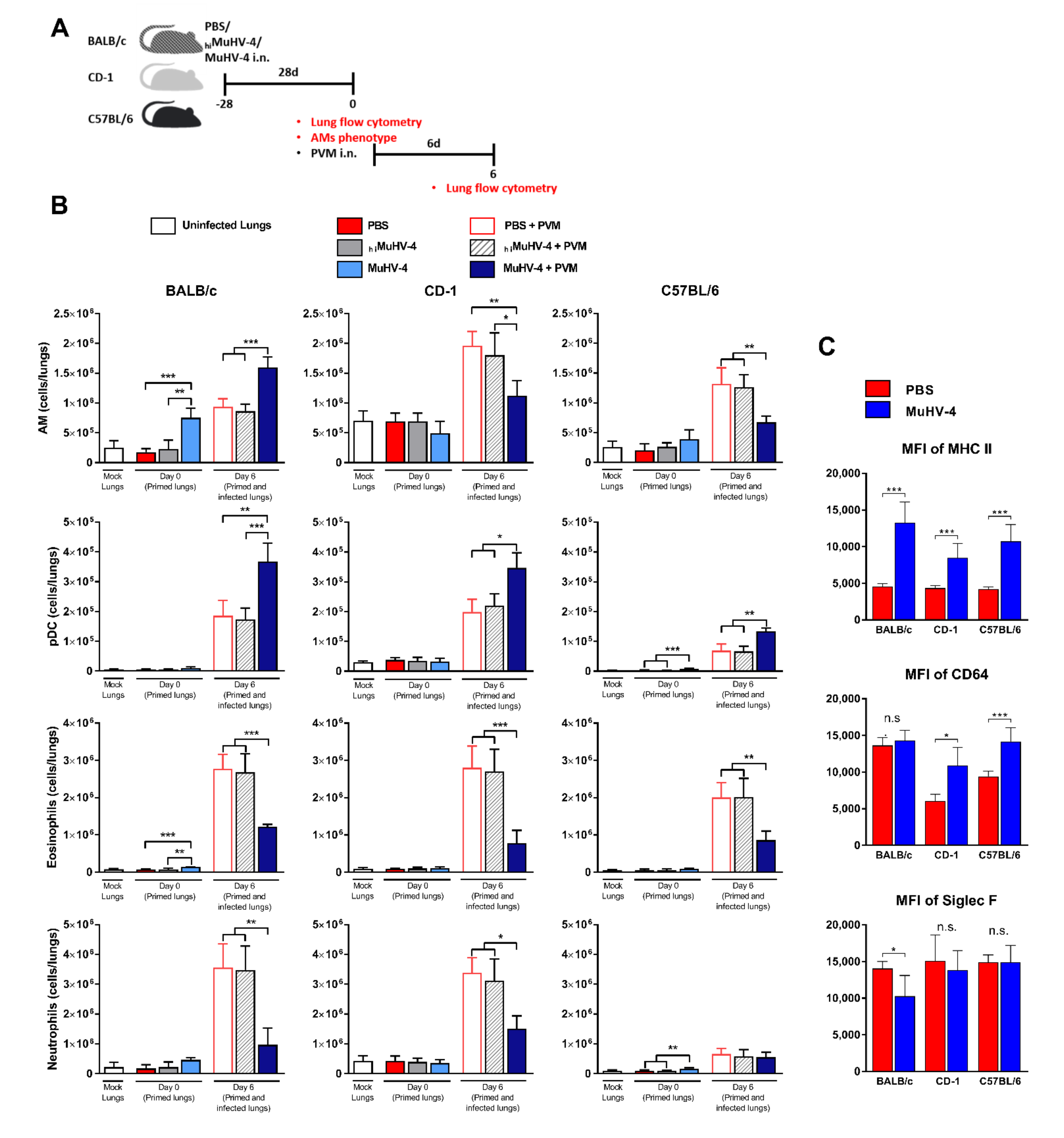 Viruses 14 00098 g003