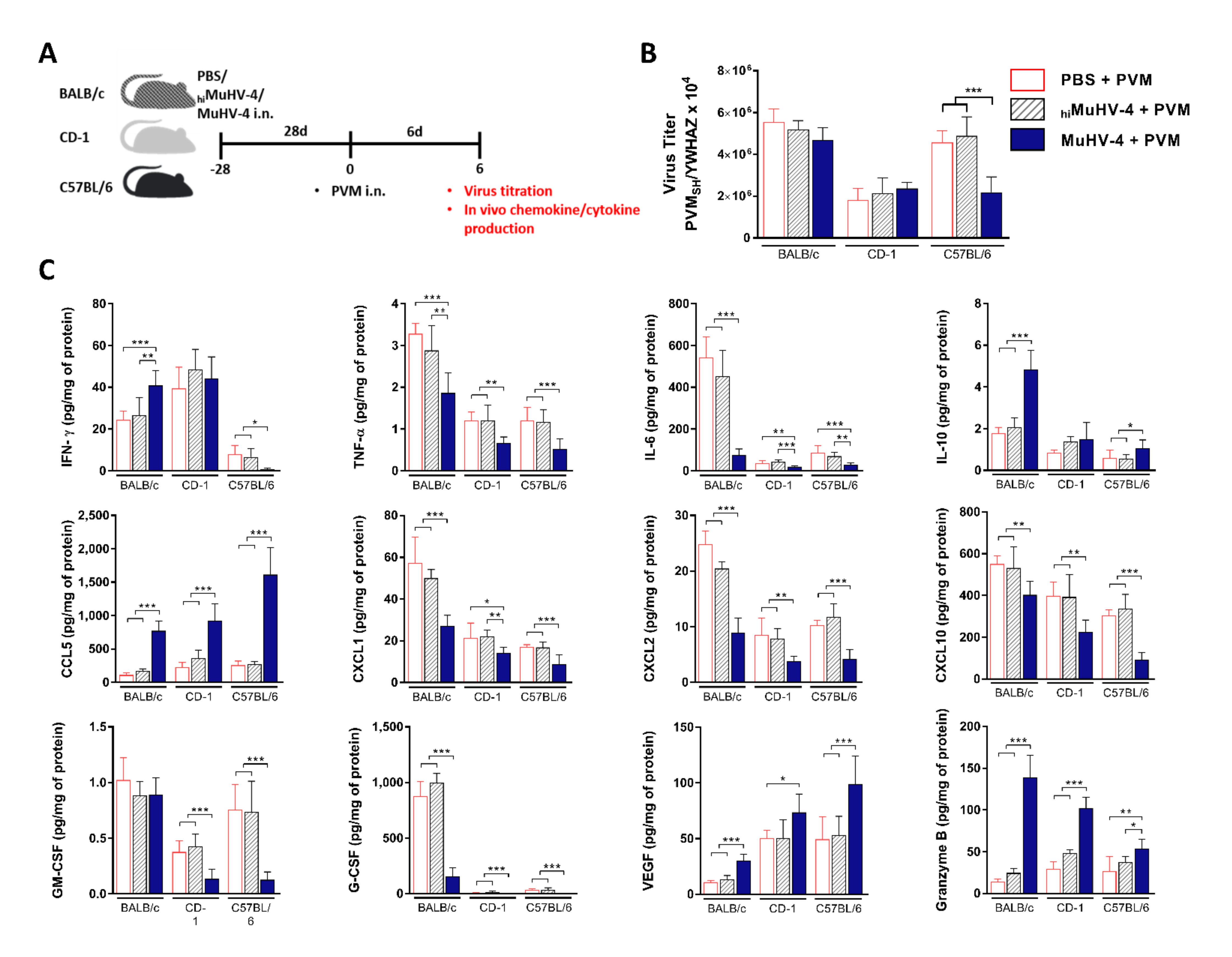 Viruses 14 00098 g004