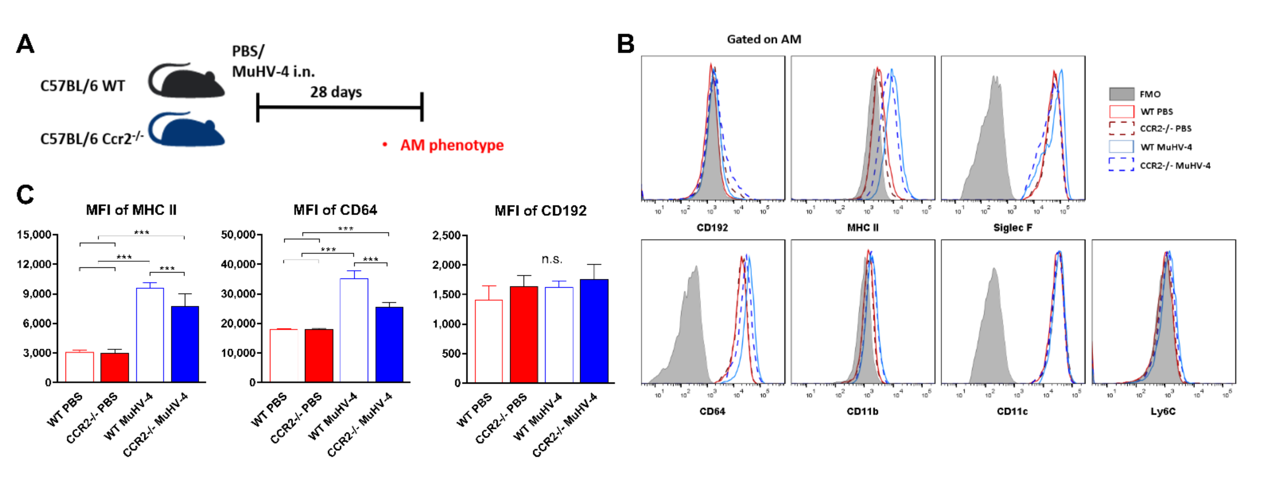 Viruses 14 00098 g005