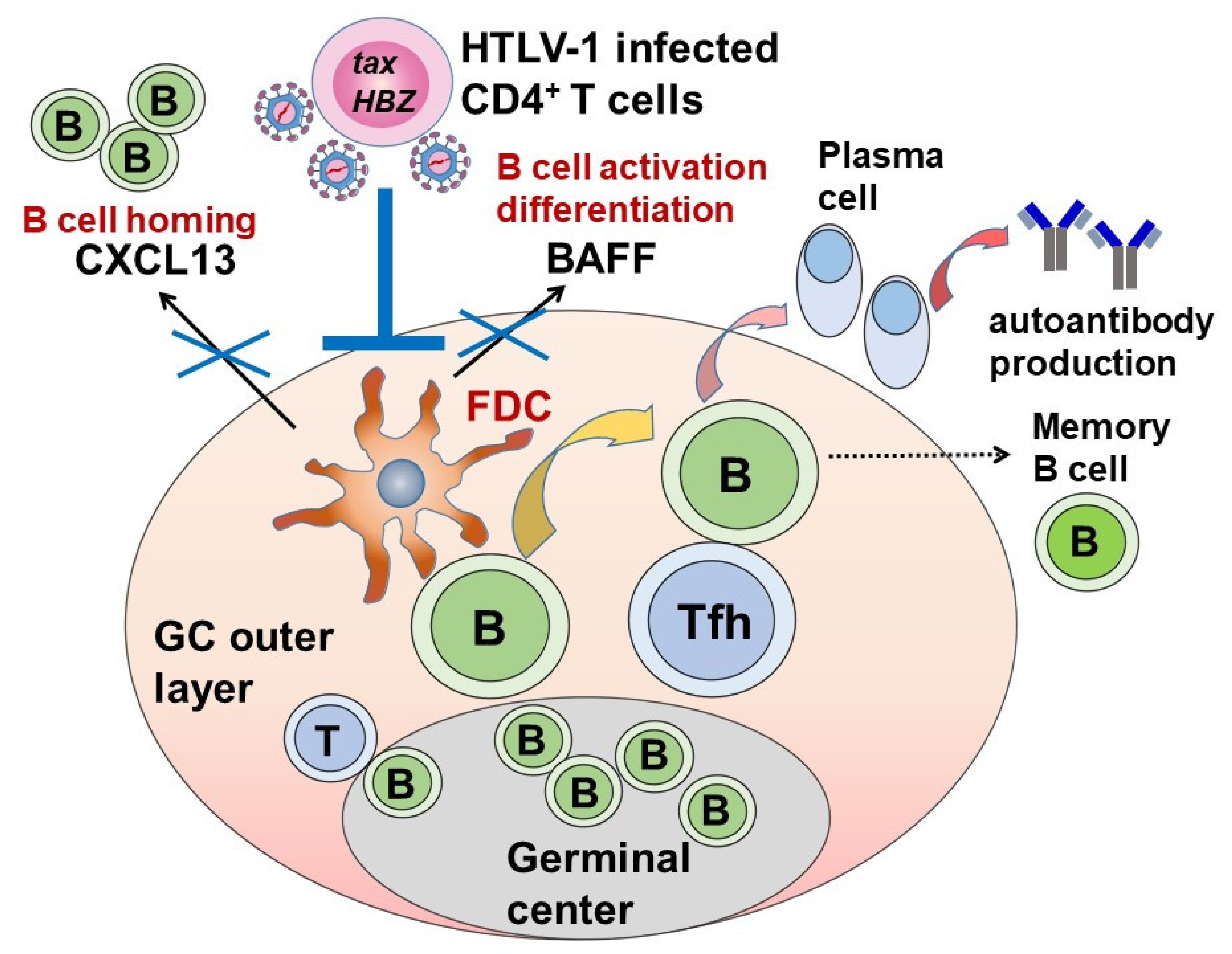 Viruses 14 00100 g004