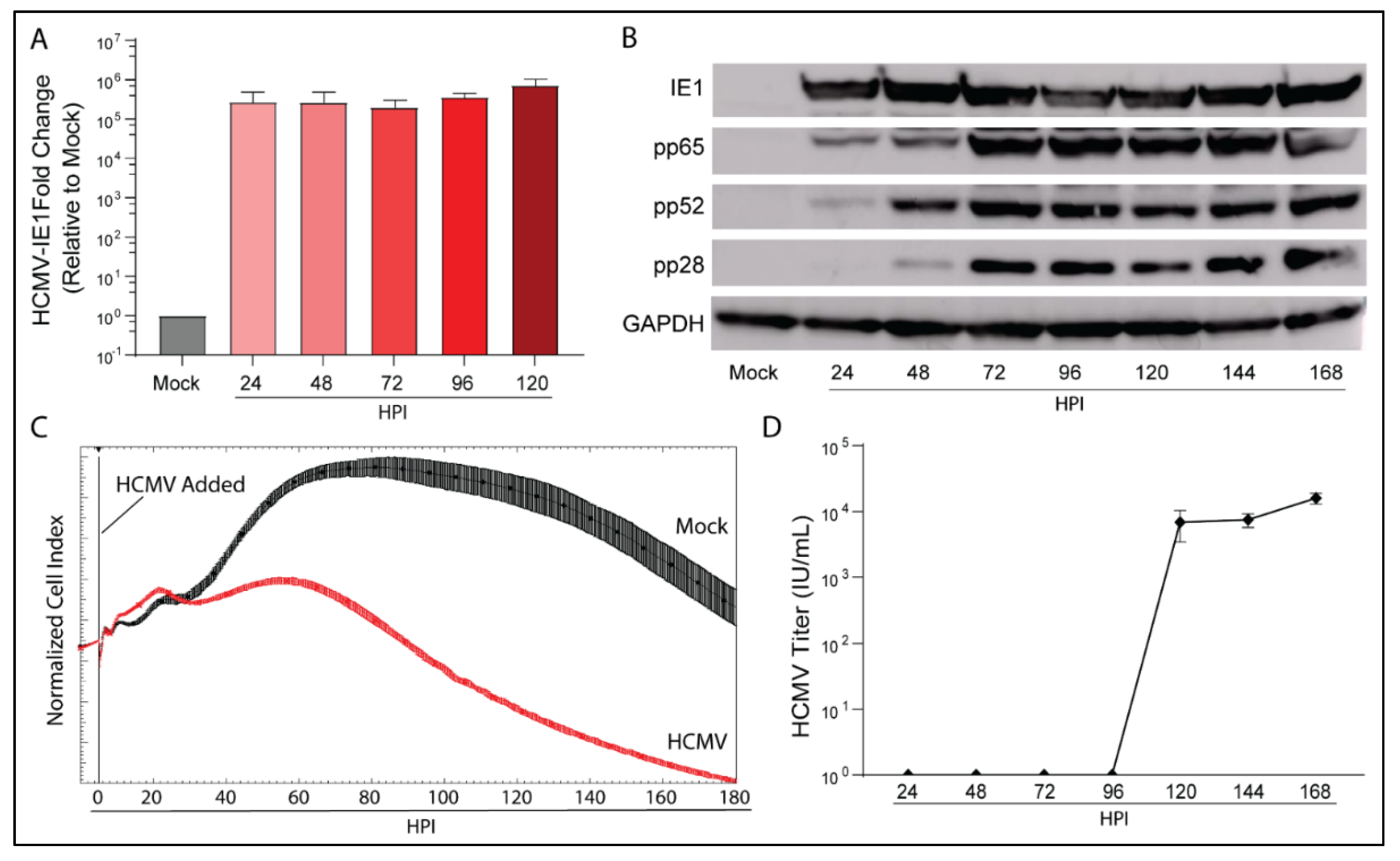 Viruses 14 00103 g001 Viruses 14 00103 g001