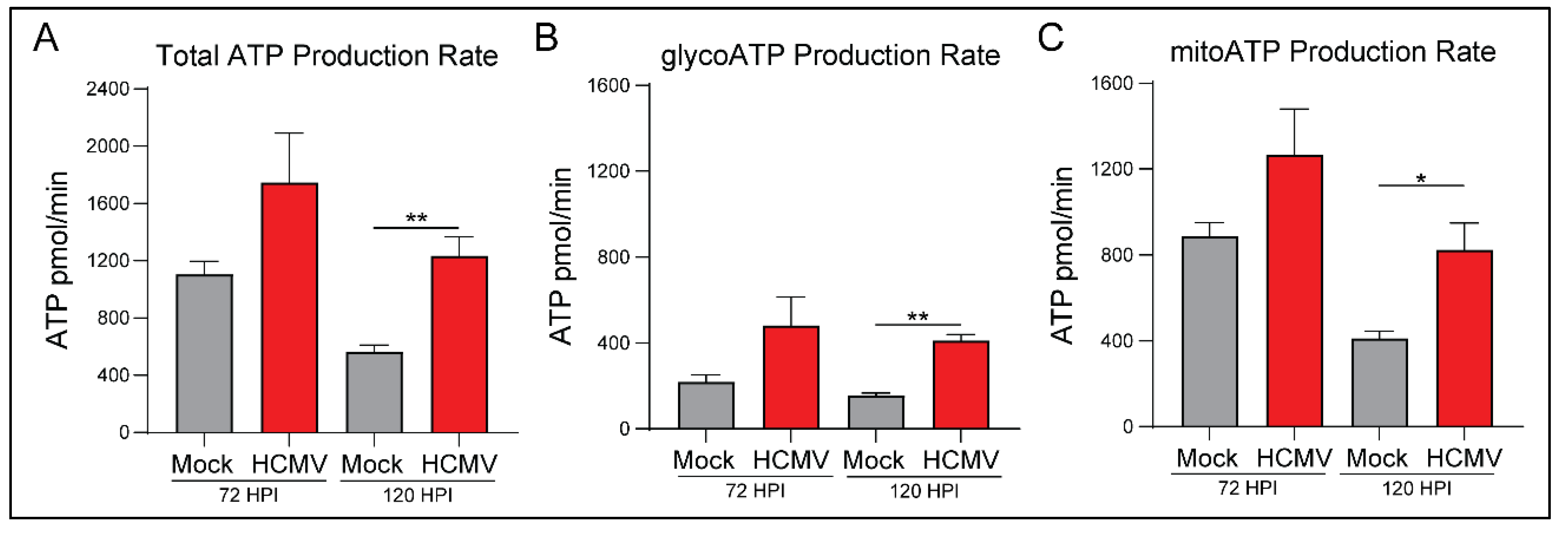 Viruses 14 00103 g002 Viruses 14 00103 g002