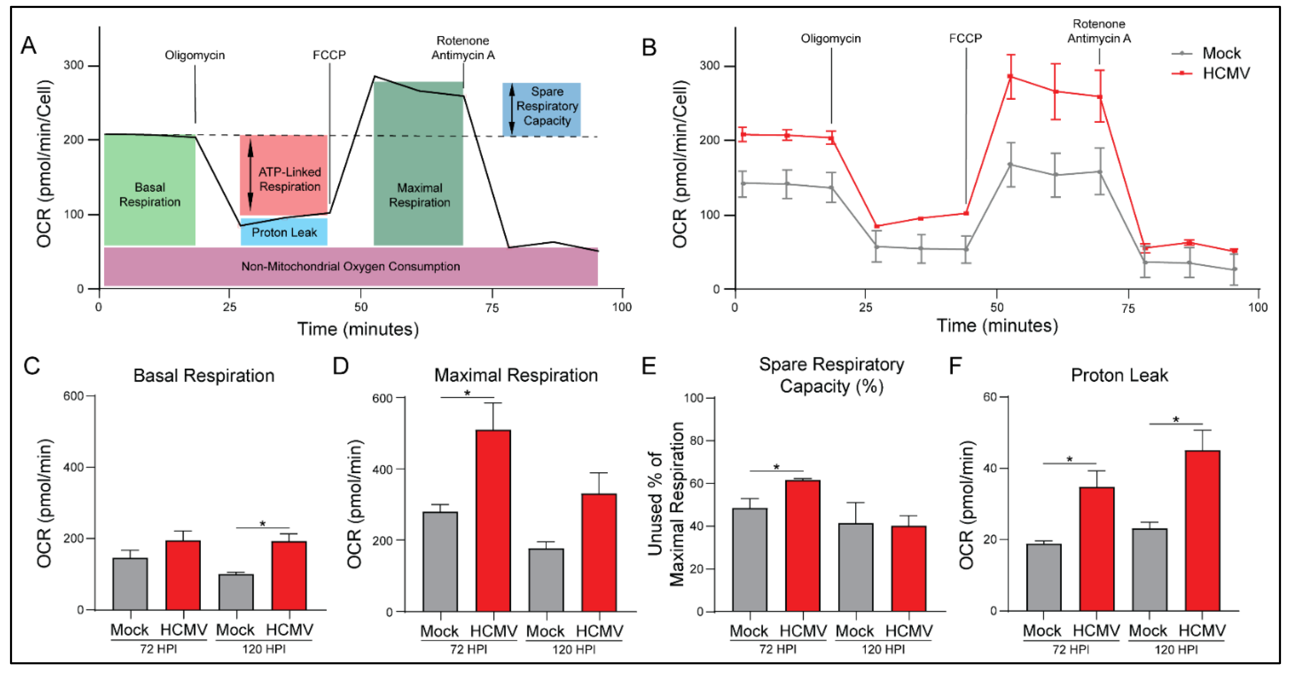 Viruses 14 00103 g003 Viruses 14 00103 g003
