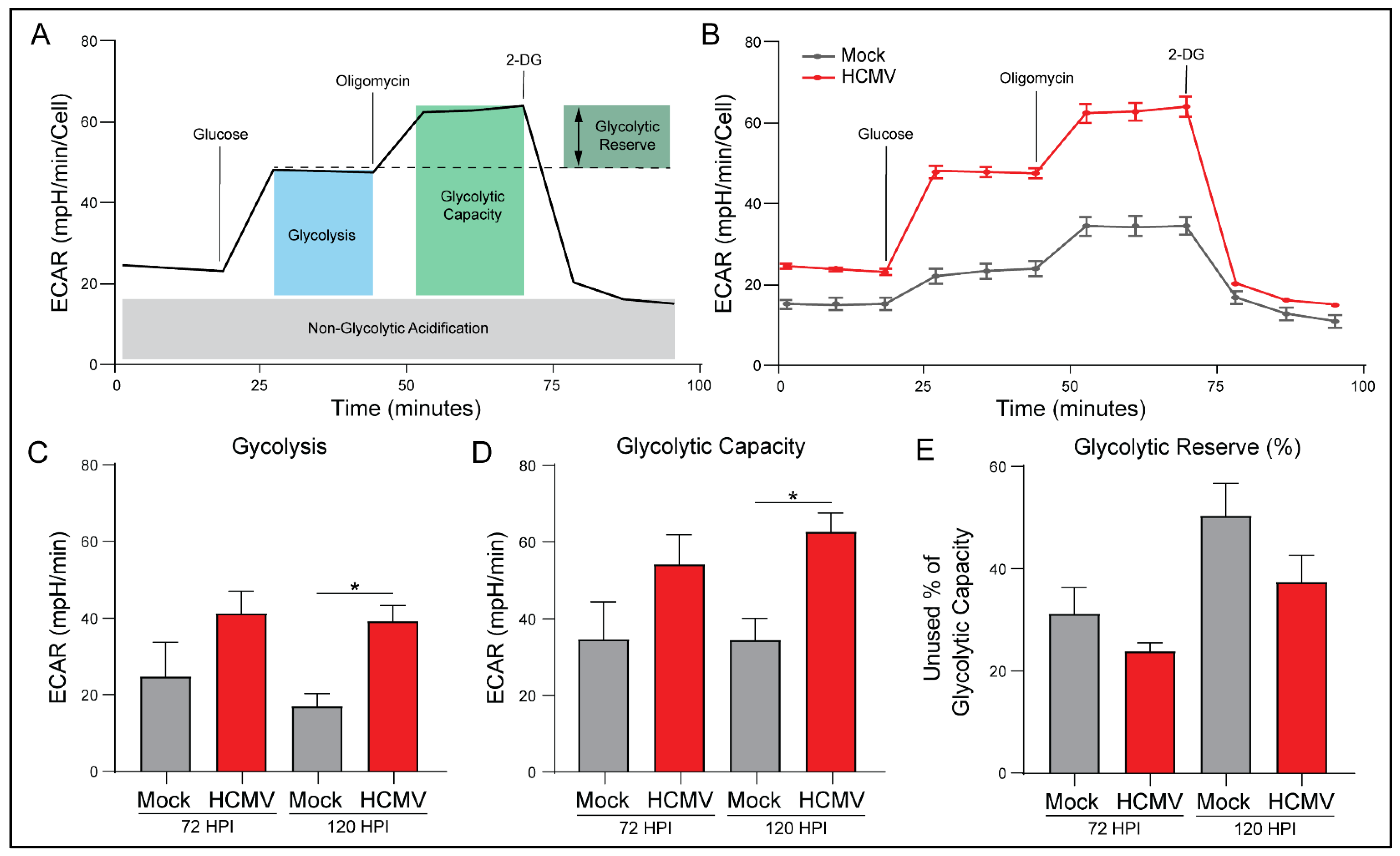 Viruses 14 00103 g005 Viruses 14 00103 g005