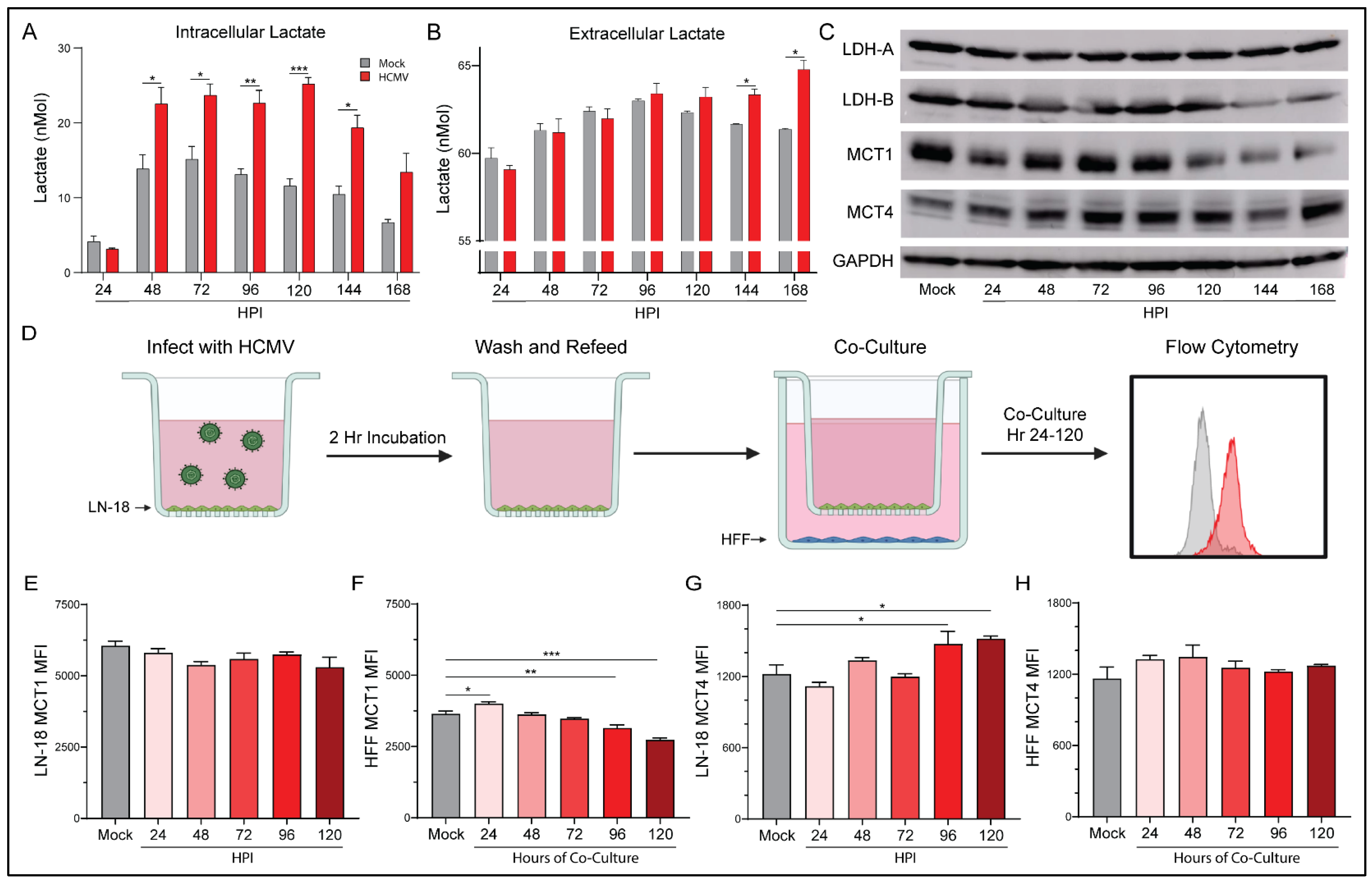Viruses 14 00103 g006 Viruses 14 00103 g006