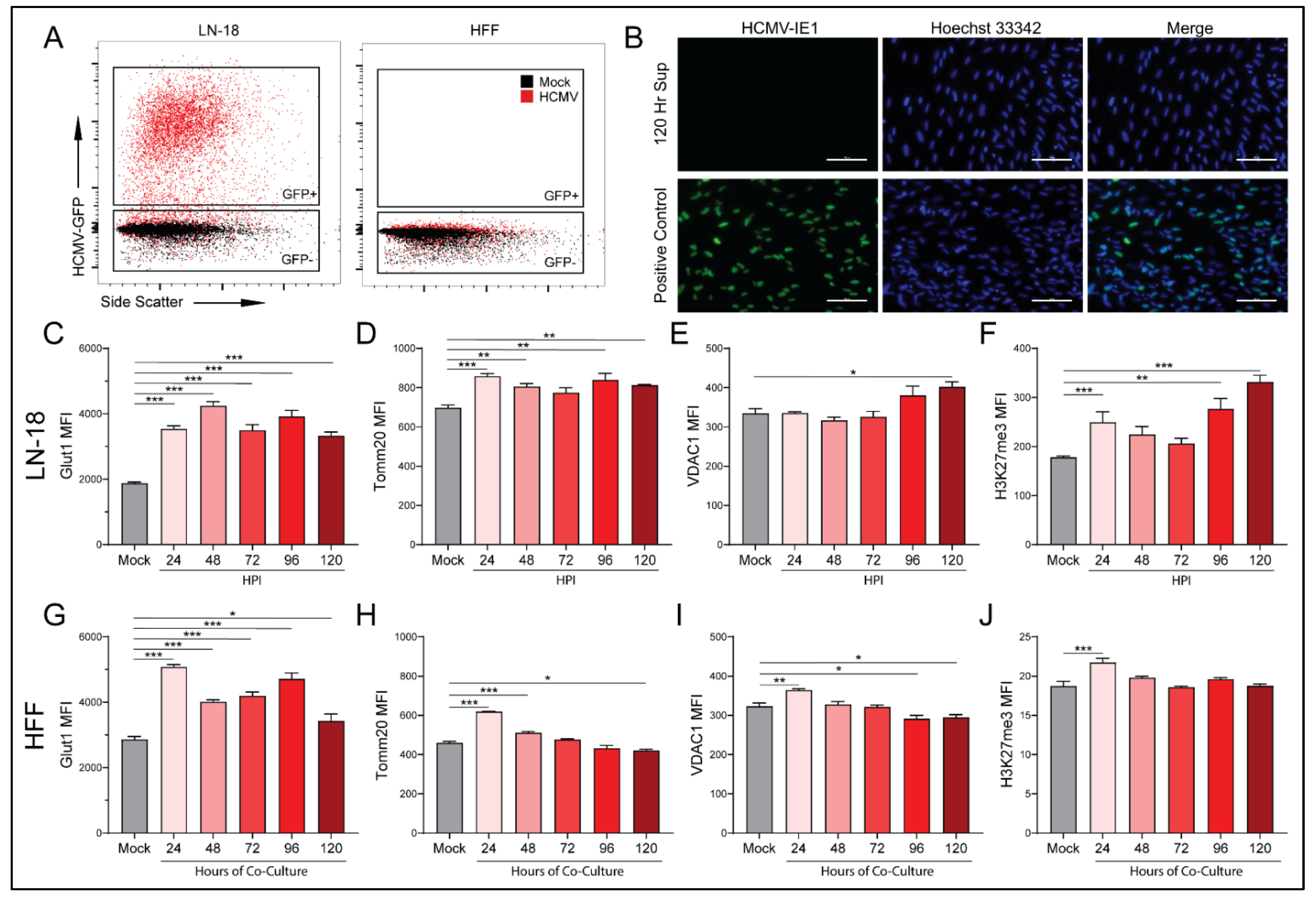 Viruses 14 00103 g007 Viruses 14 00103 g007