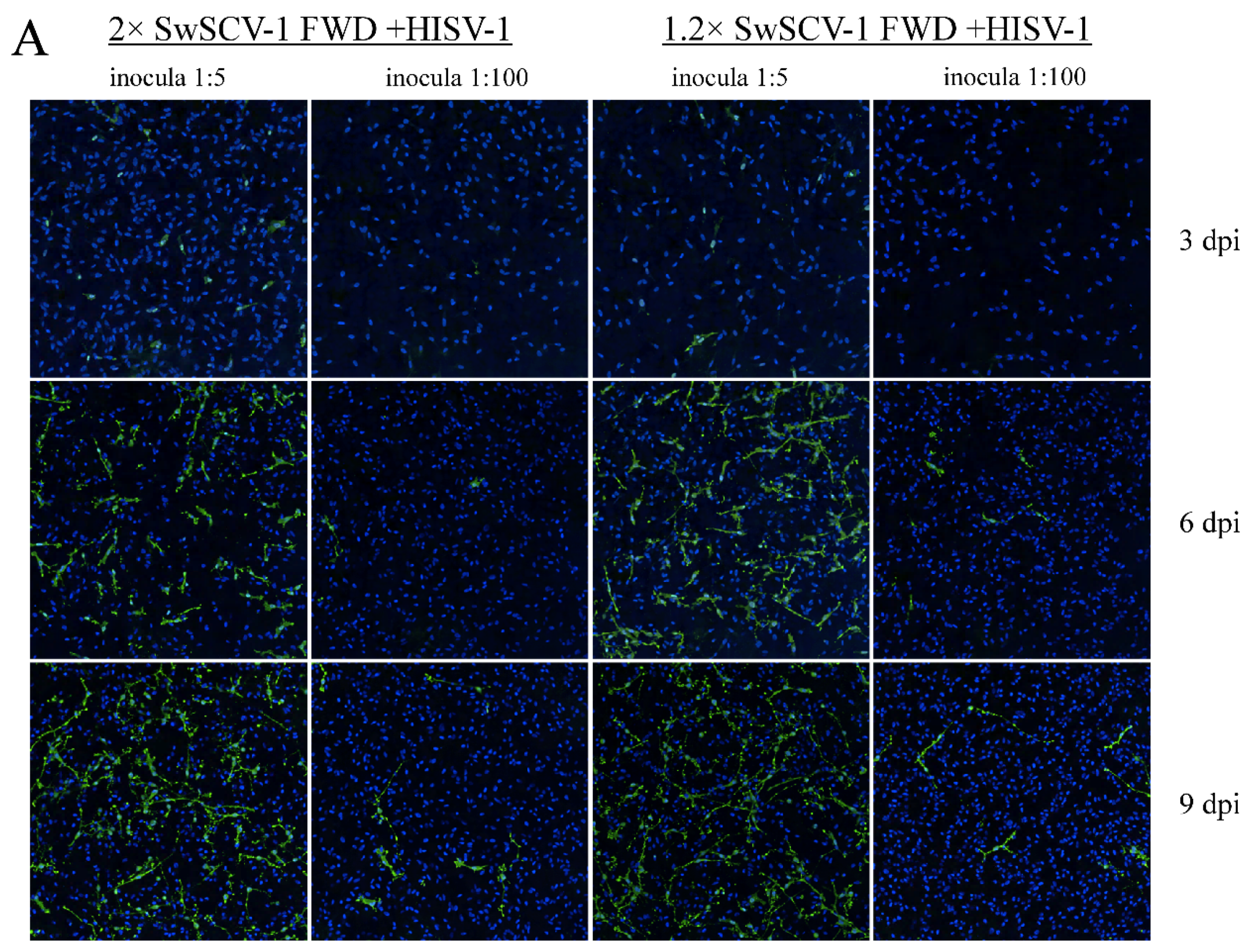 Viruses 14 00107 g008a