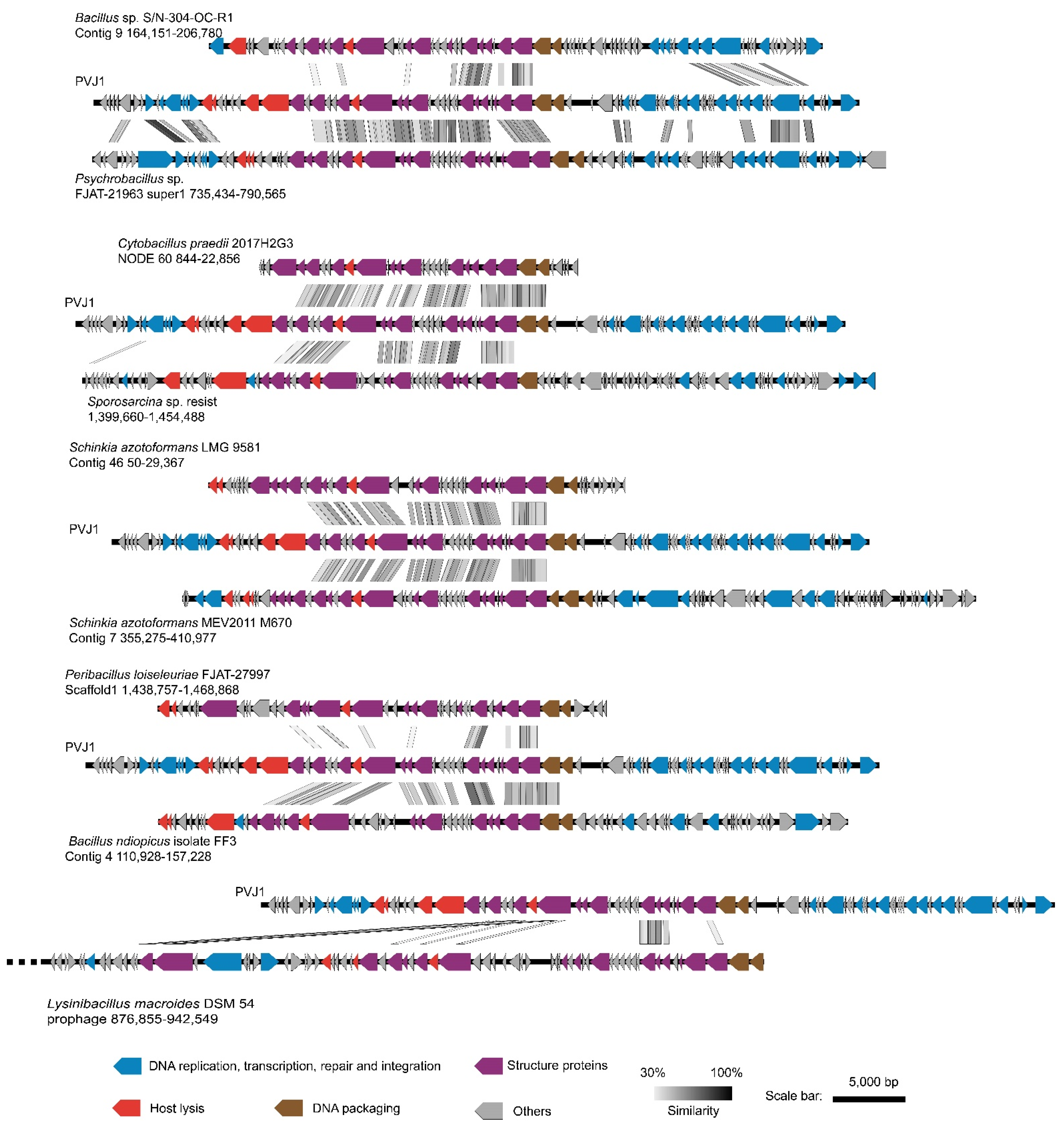 Viruses 14 00108 g003
