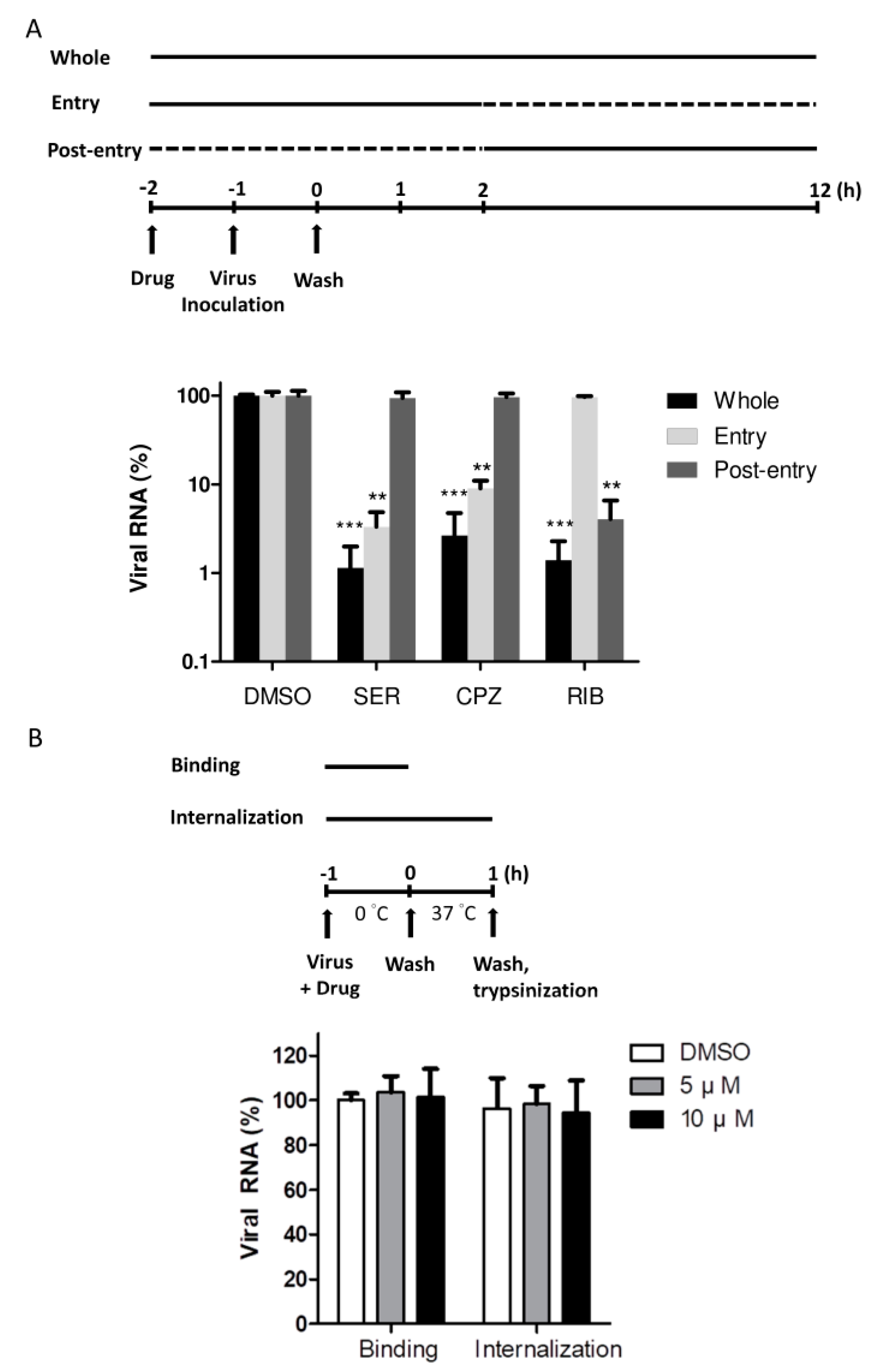 Viruses 14 00109 g004 550