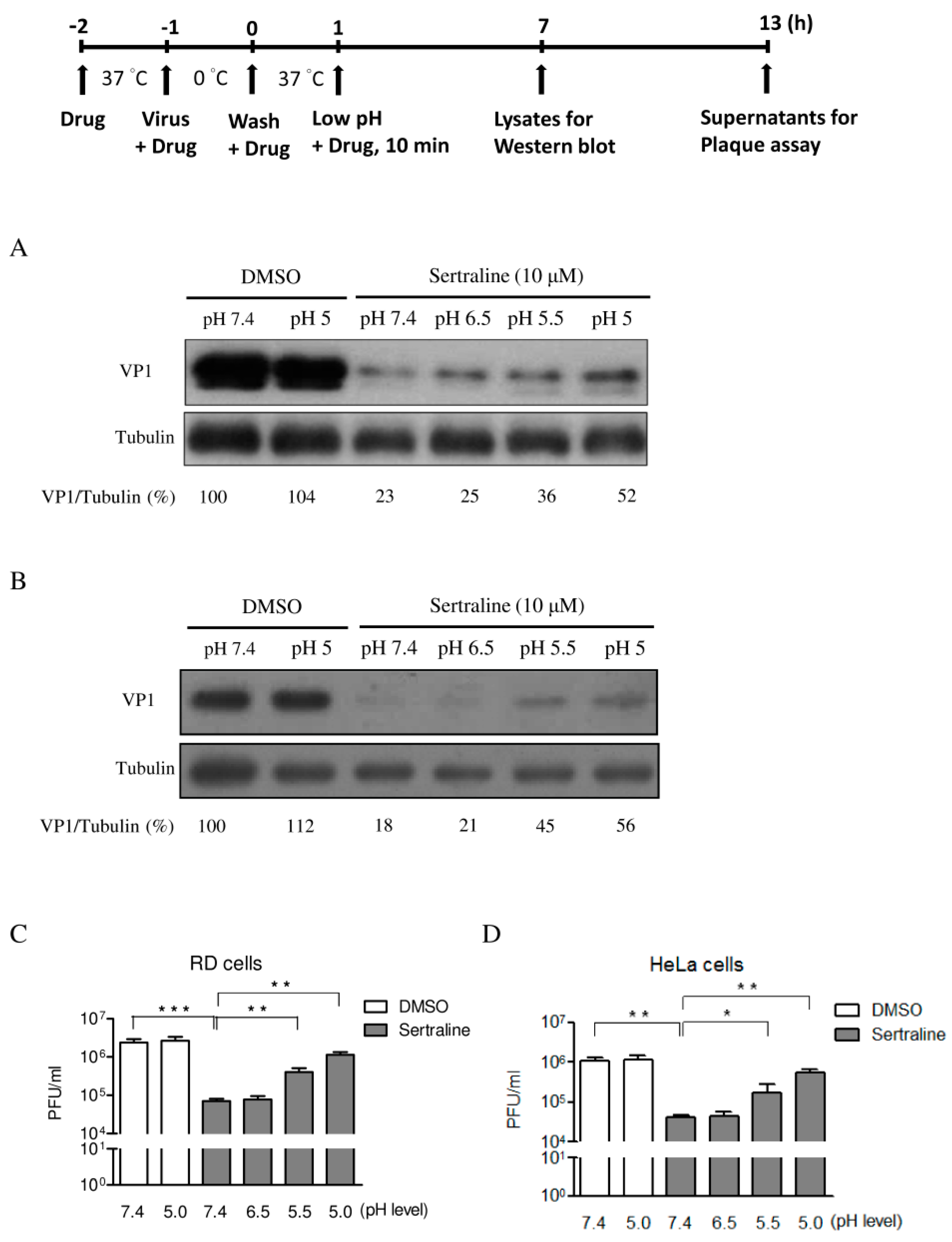 Viruses 14 00109 g006 550