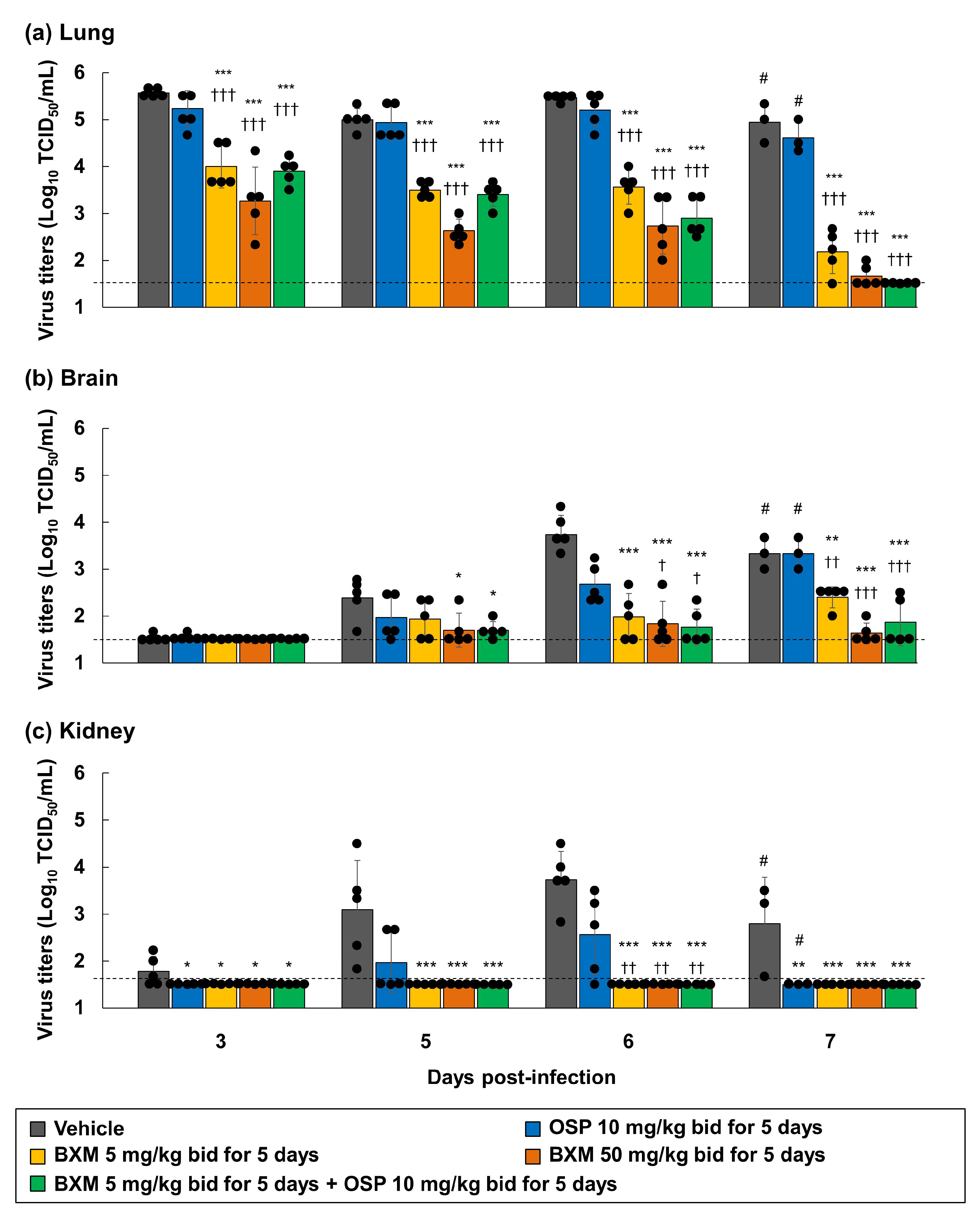 Viruses 14 00111 g006
