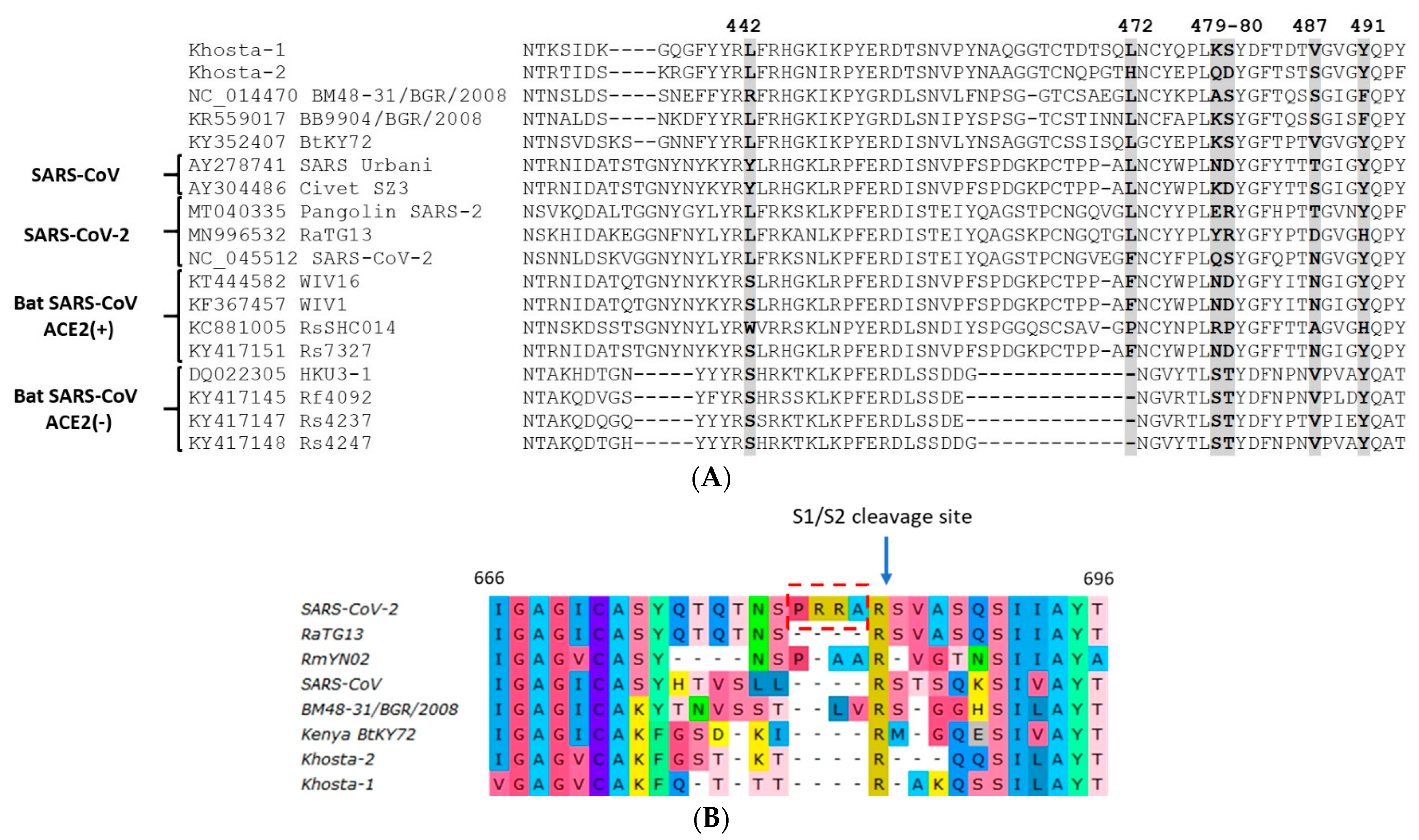 Viruses 14 00113 g005