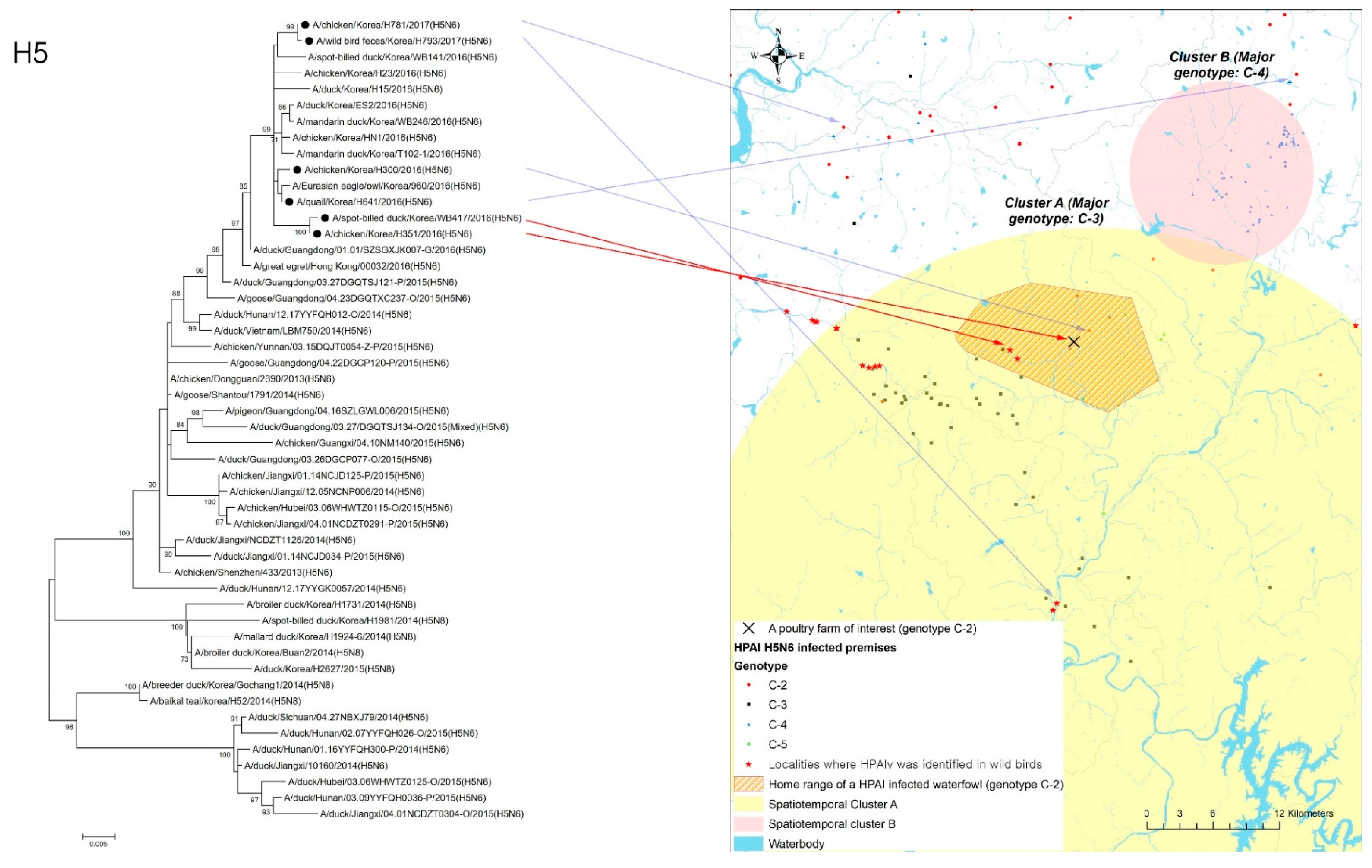 Viruses 14 00116 g005 550