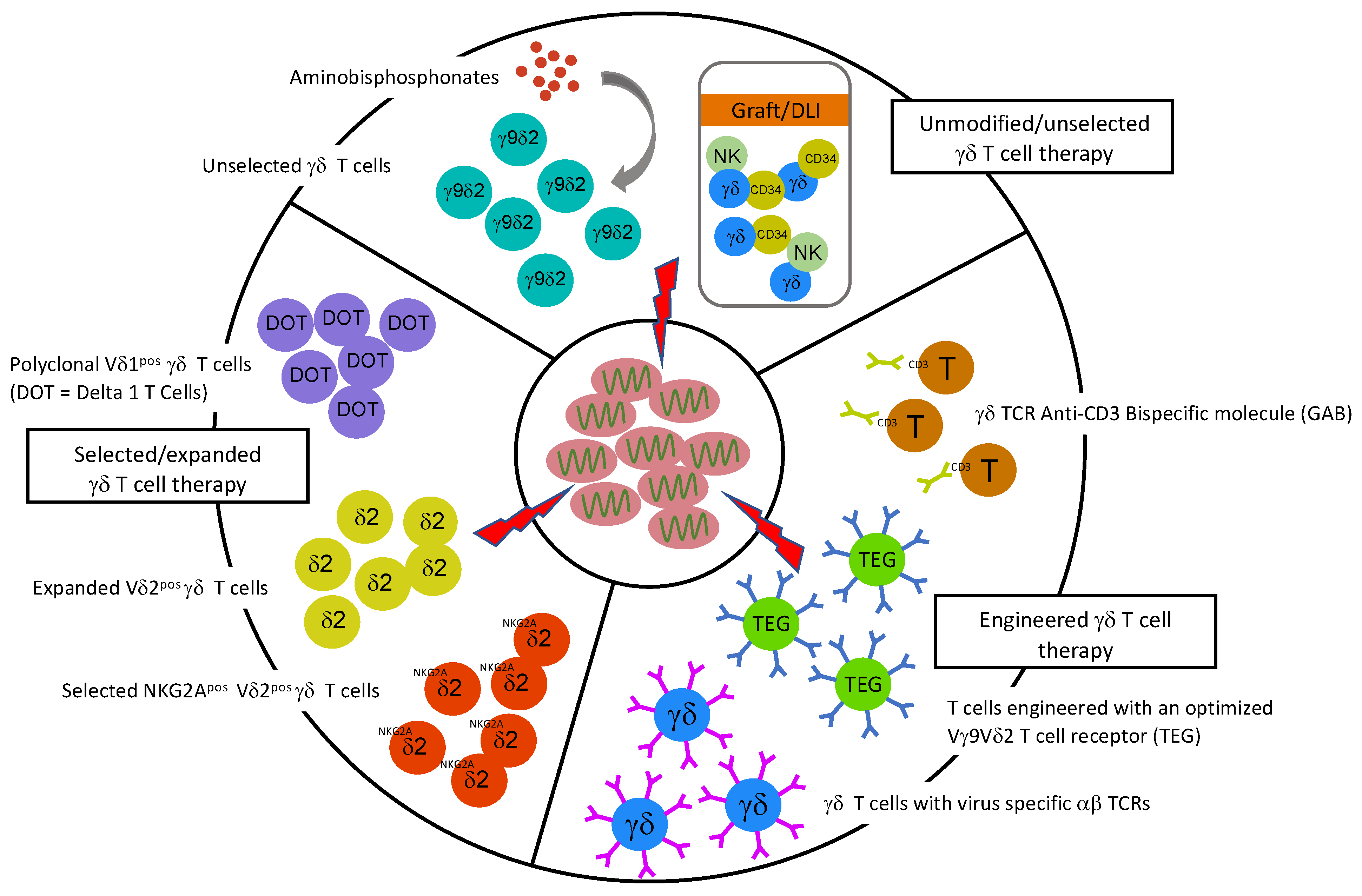 Viruses 14 00117 g001 Viruses 14 00117 g001
