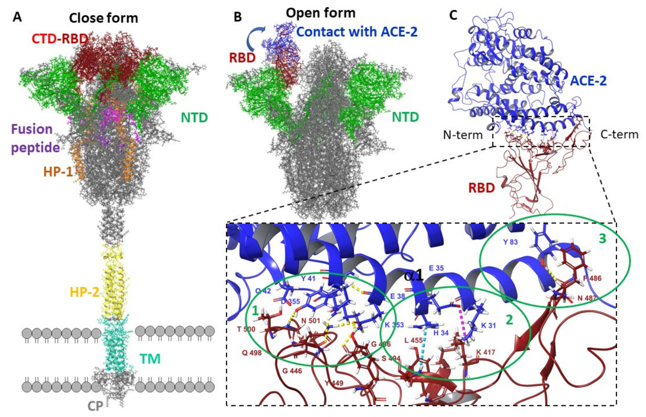 Viruses 14 00119 g001