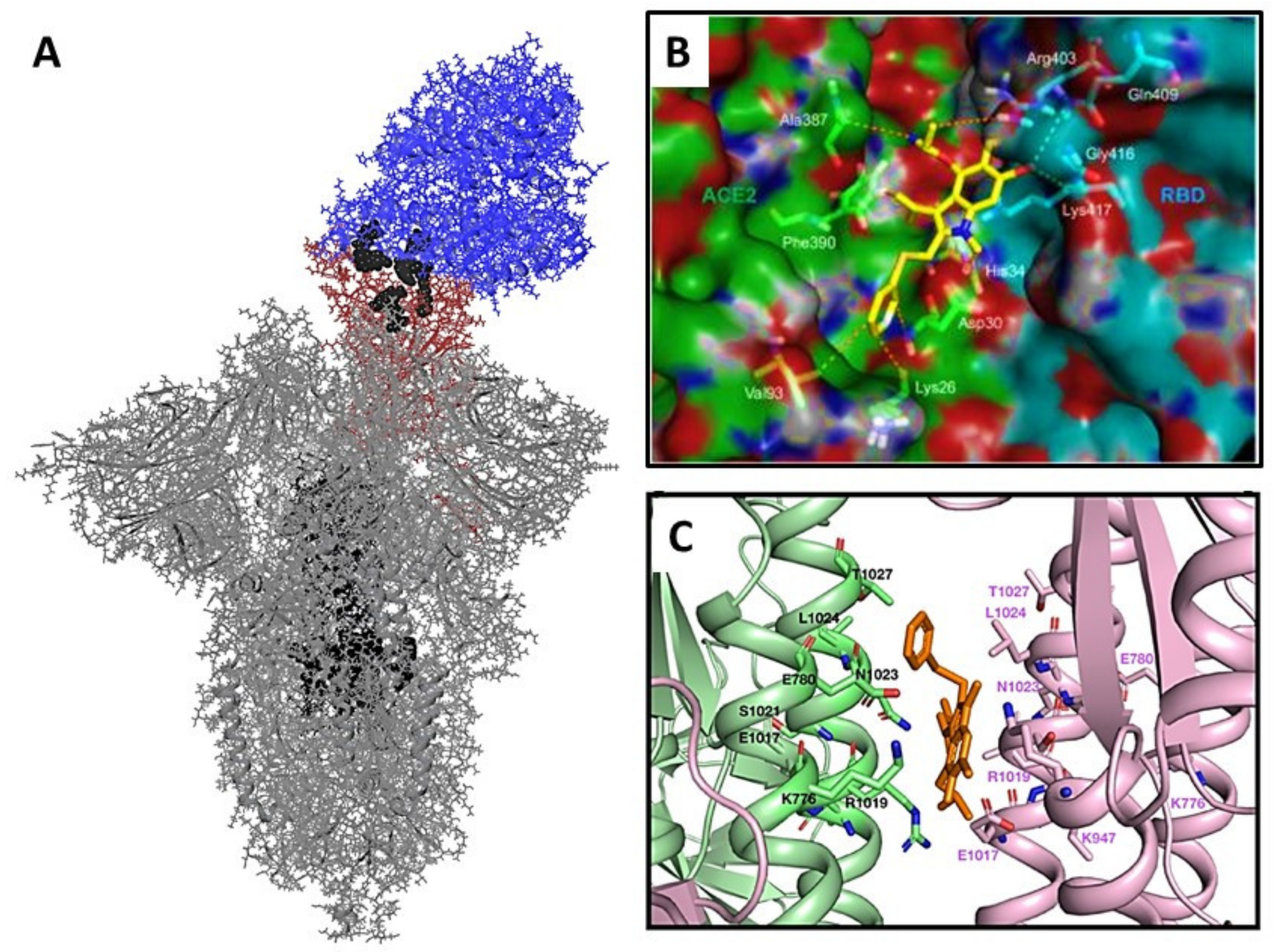 Viruses 14 00119 g002