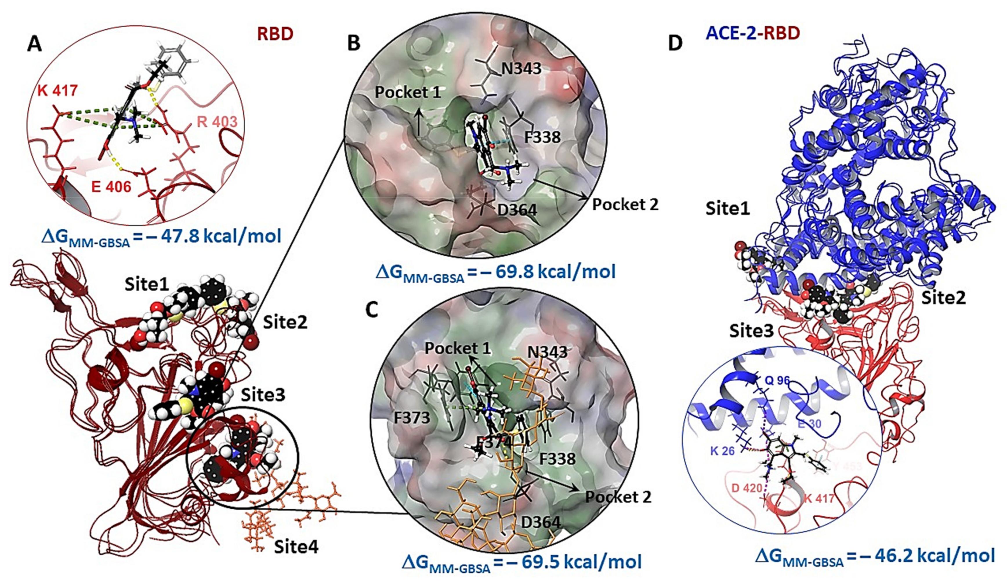 Viruses 14 00119 g008