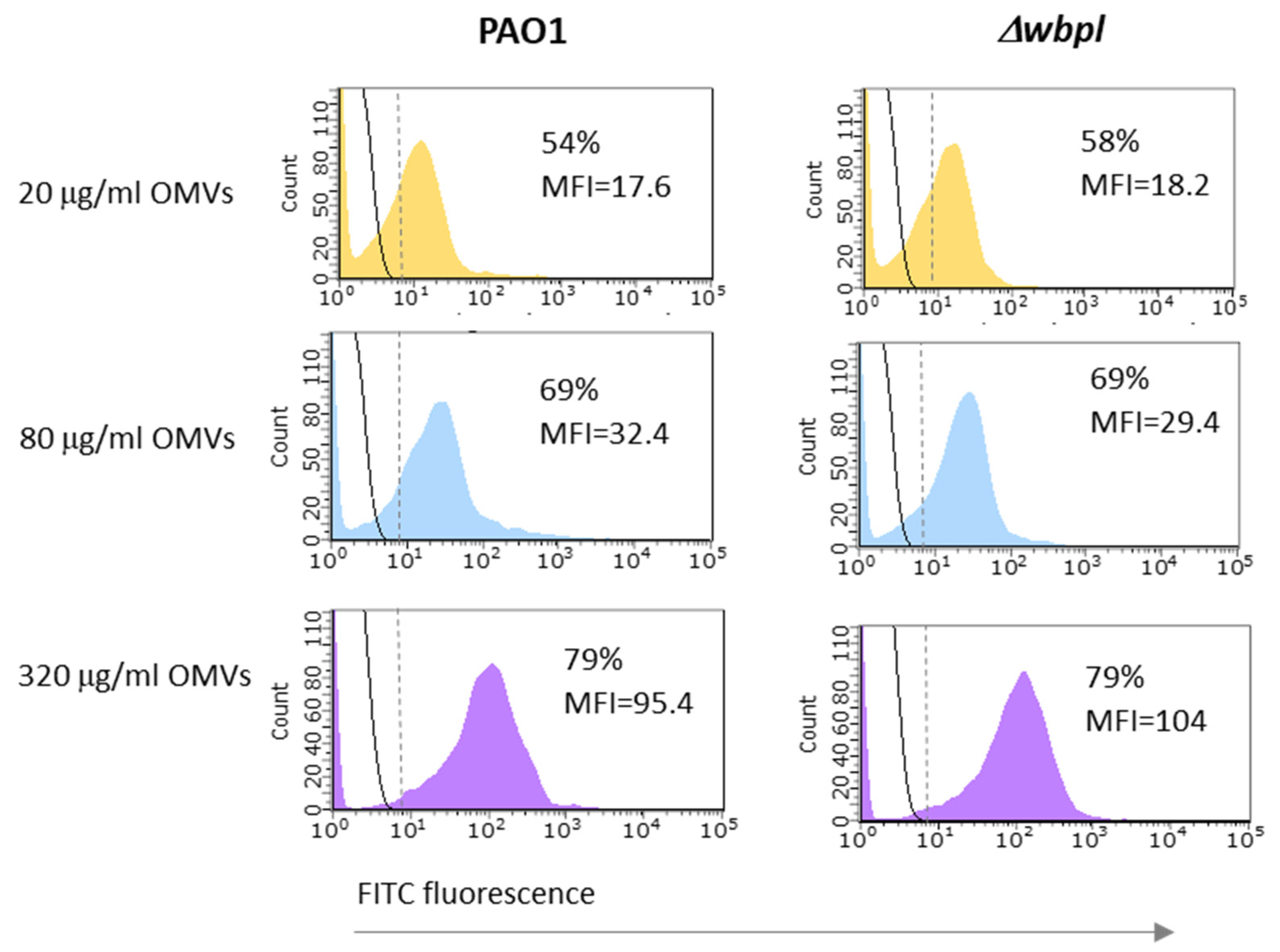 Viruses 14 00121 g004