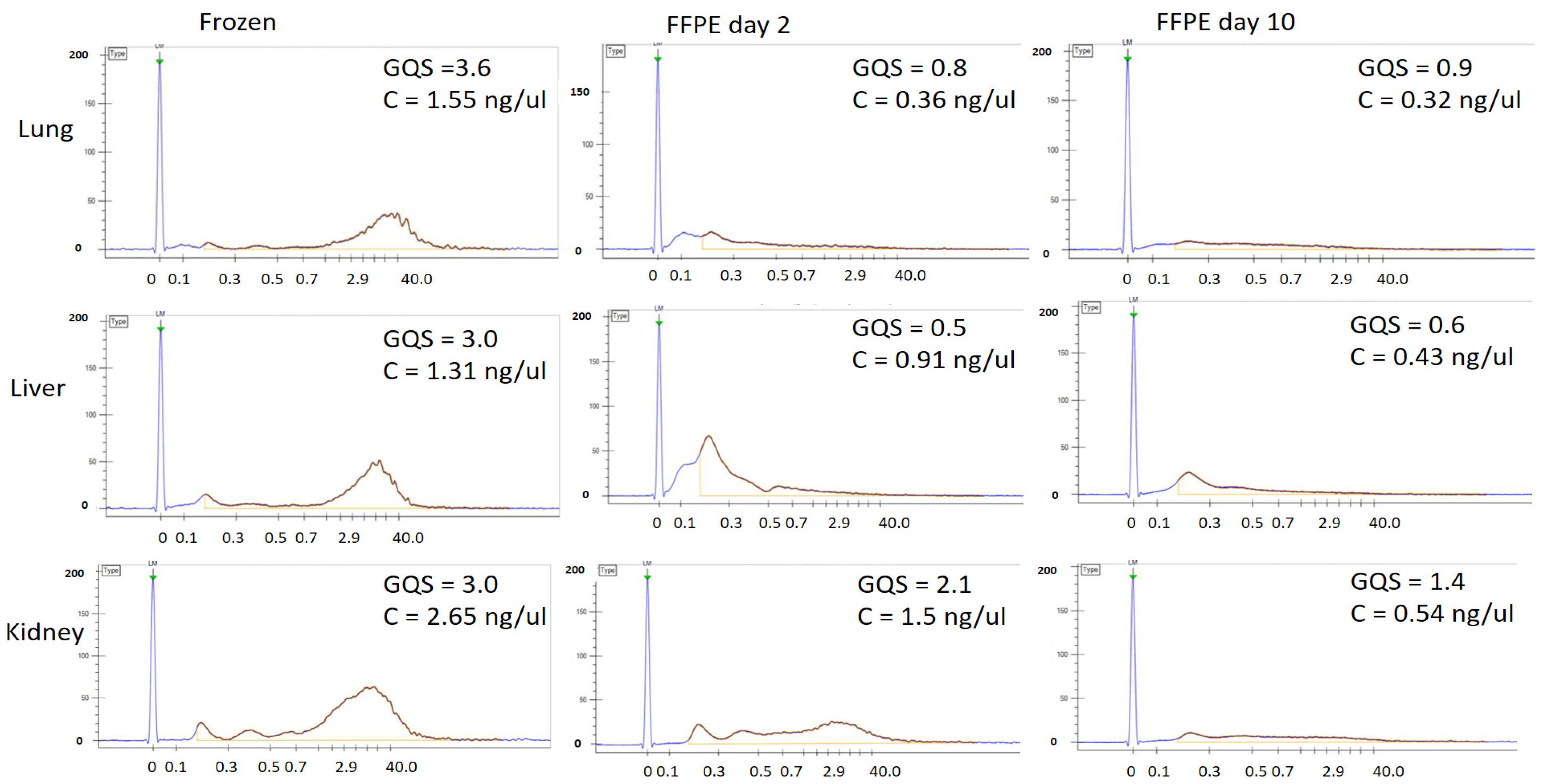 Viruses 14 00133 g003 Viruses 14 00133 g003