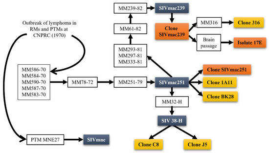 A Grand Game of Chess: Entropy and Patterns in Threat Intelligence Models —  University XP