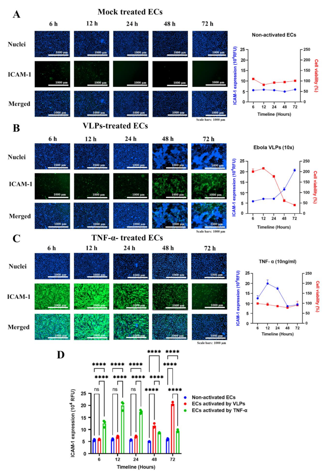 Viruses 14 00142 g003 550