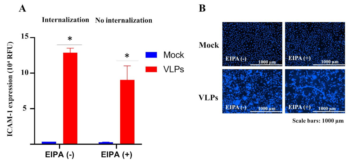 Viruses 14 00142 g004 550