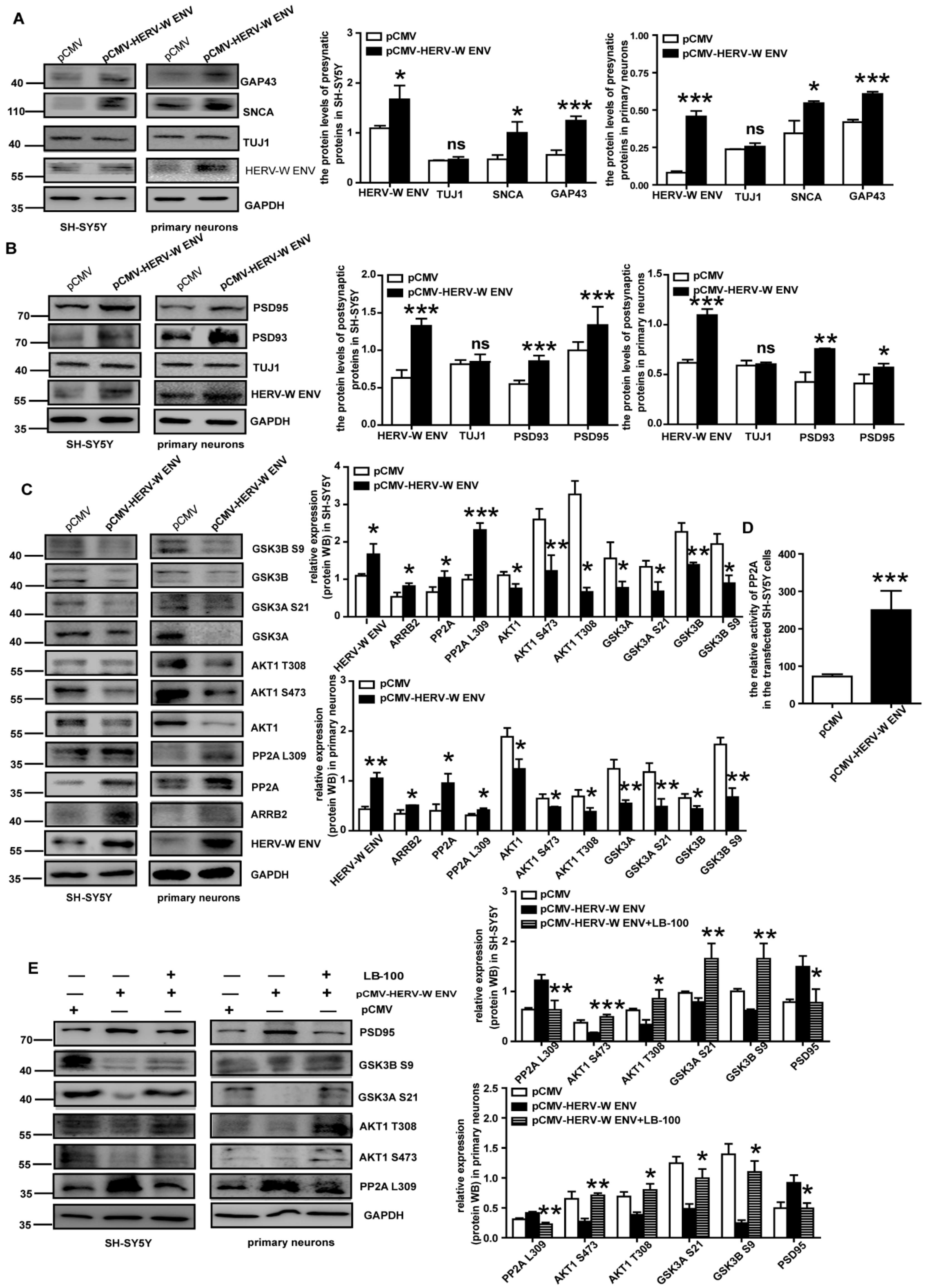 Viruses 14 00145 g005 Viruses 14 00145 g005