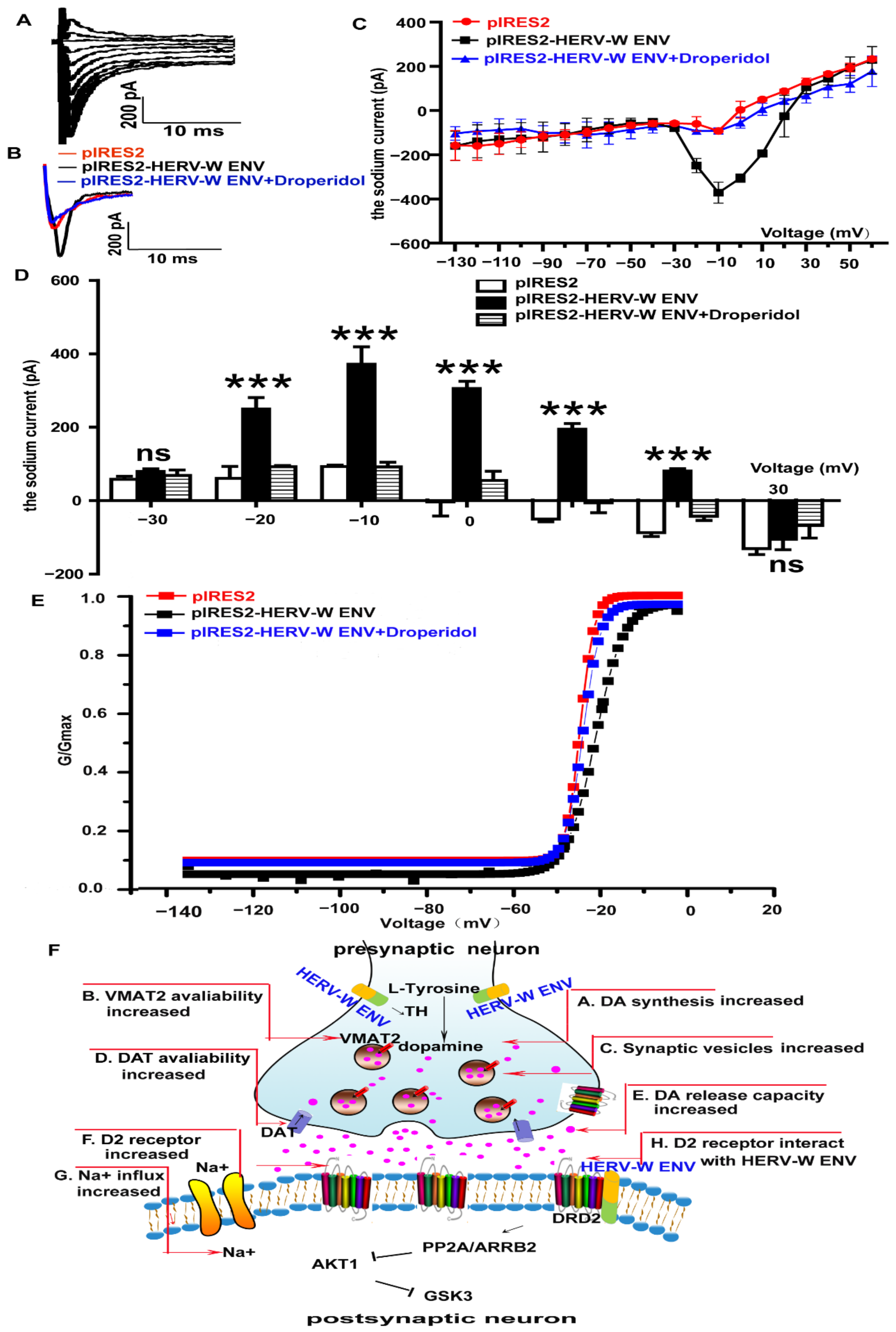 Viruses 14 00145 g007 Viruses 14 00145 g007