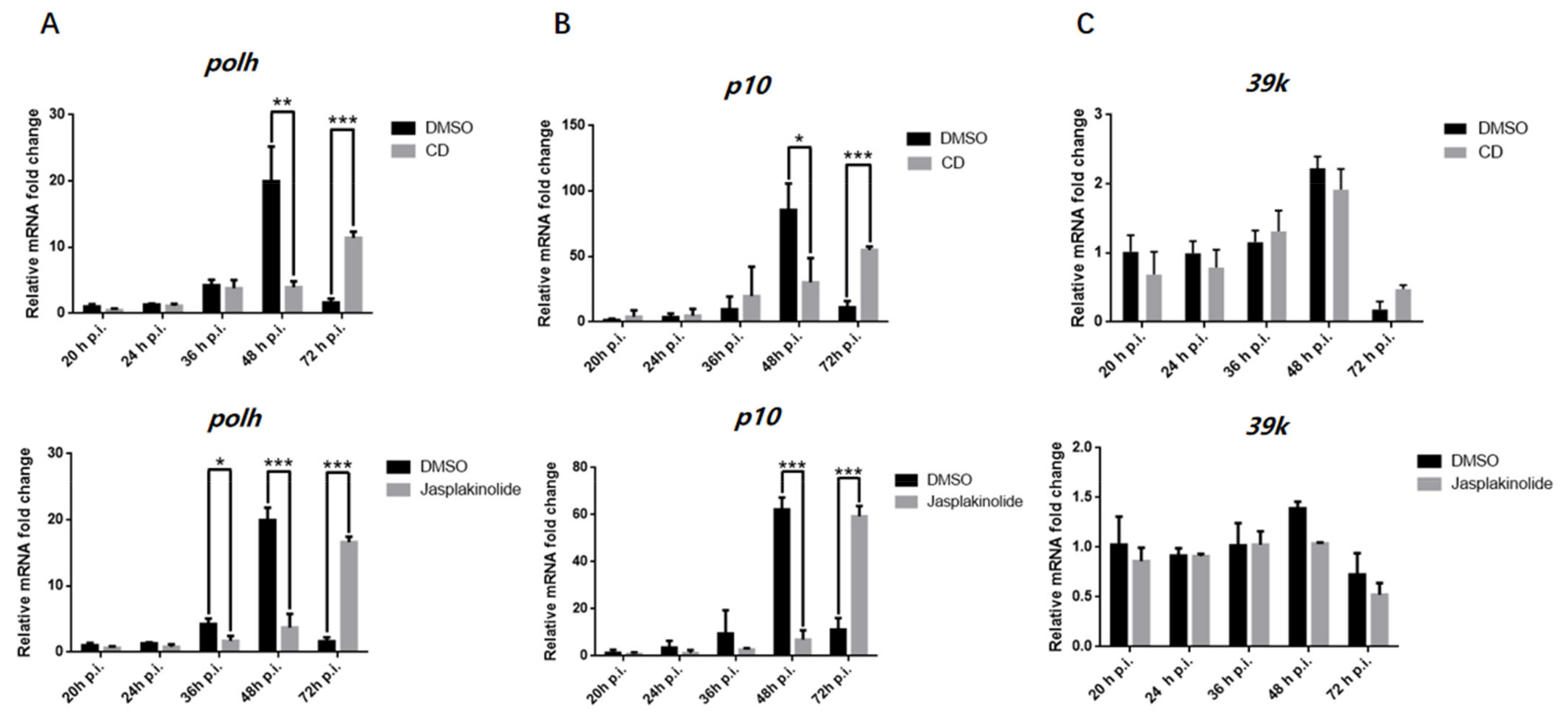 Viruses 14 00153 g002