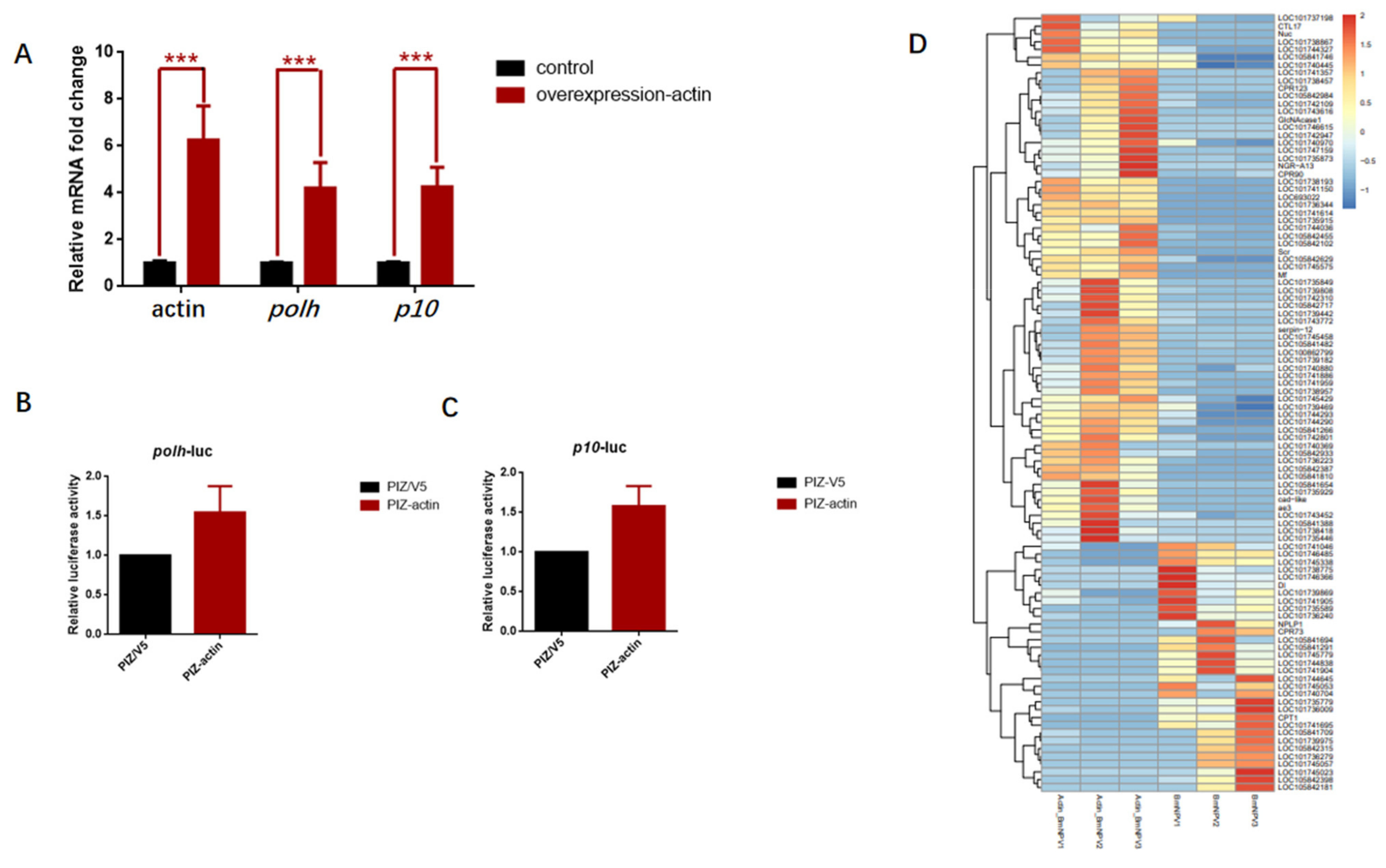 Viruses 14 00153 g006a