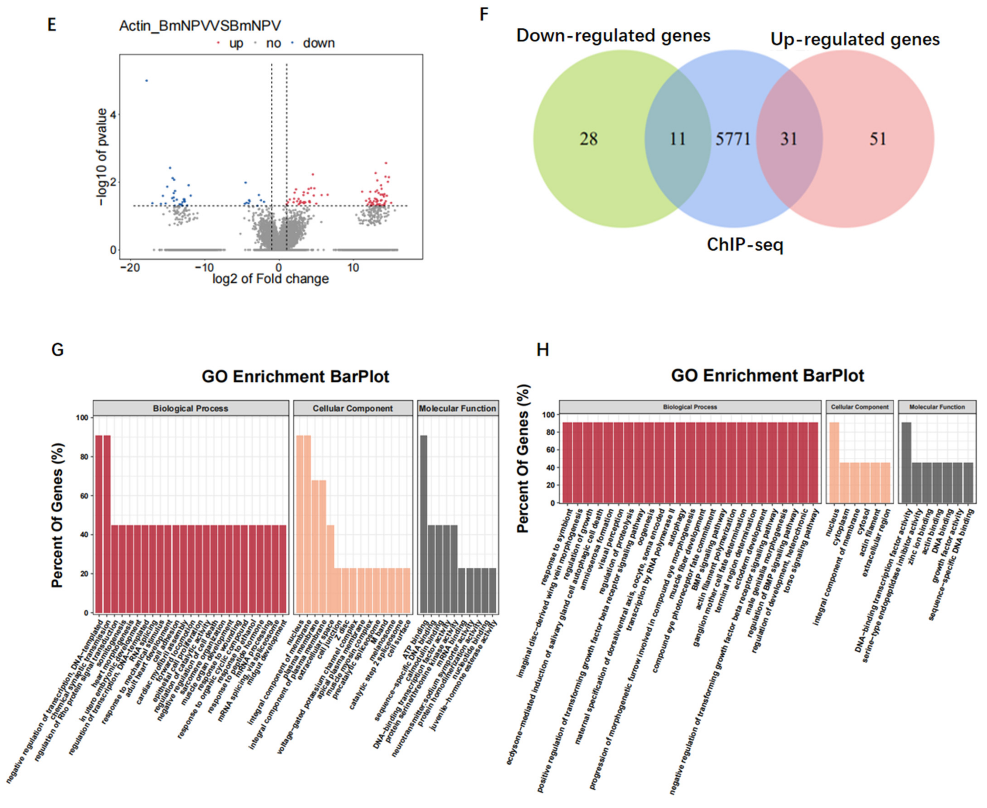 Viruses 14 00153 g006b