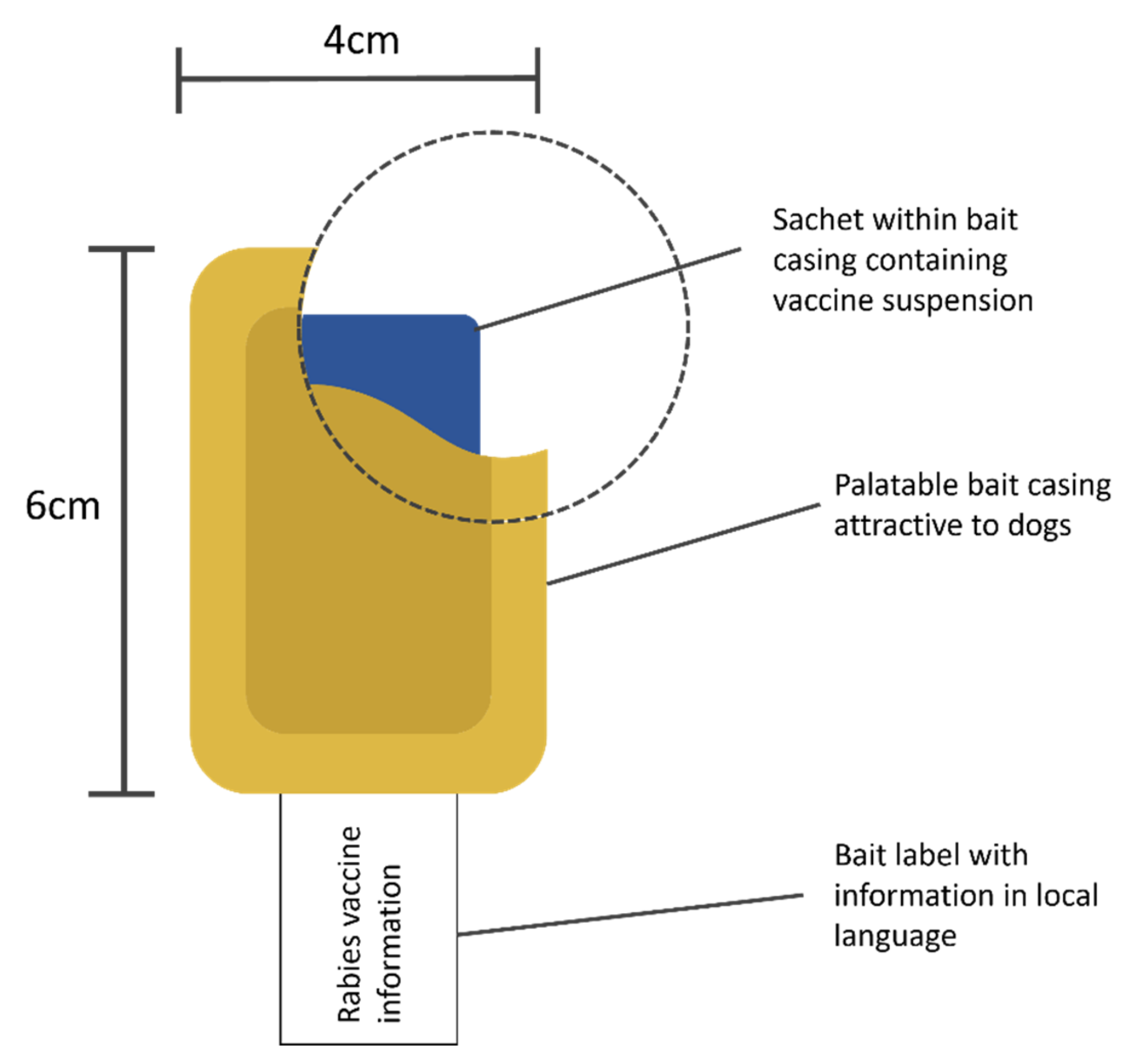 Viruses 14 00155 g002 Viruses 14 00155 g002