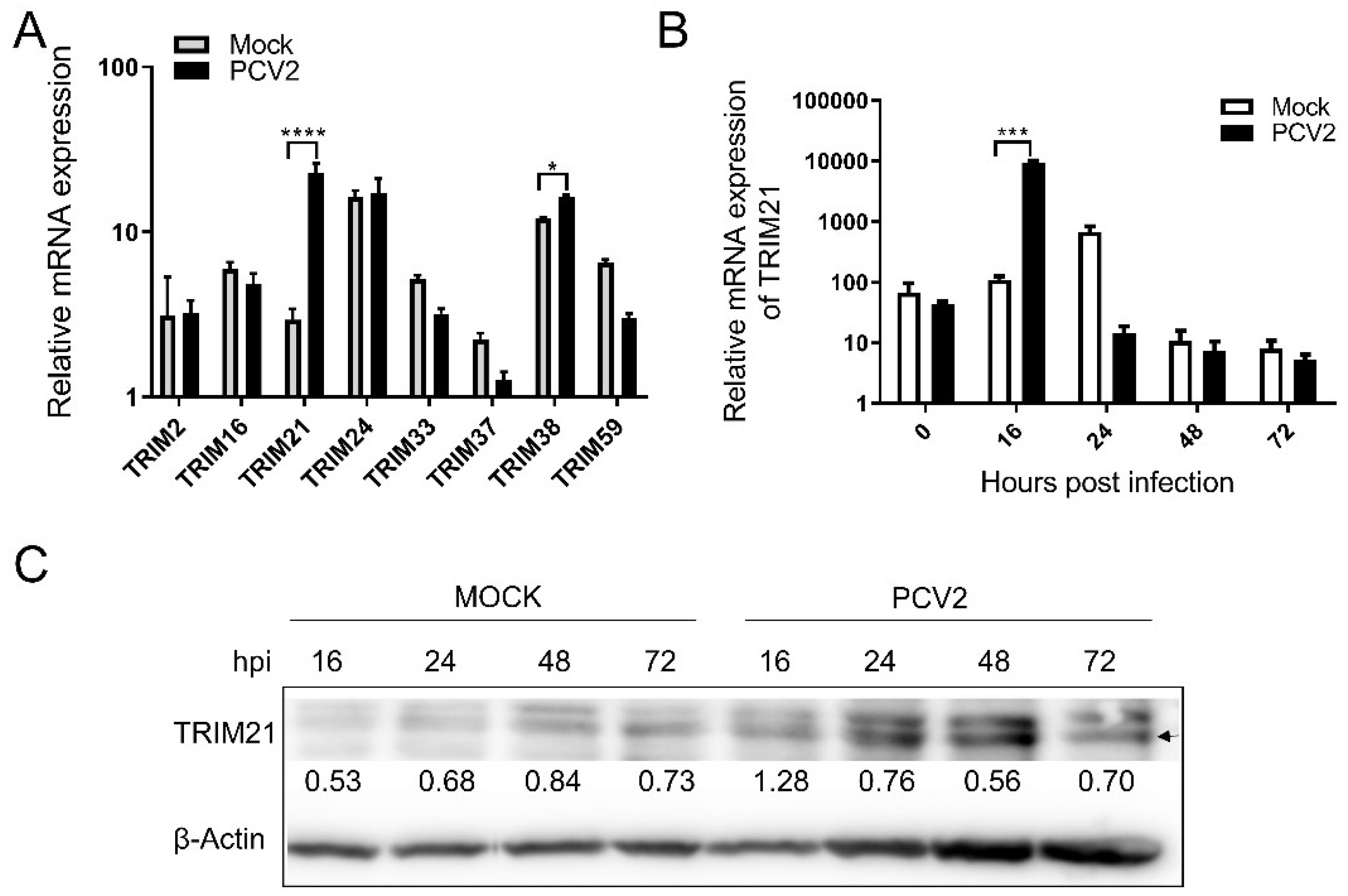 Viruses 14 00156 g001 Viruses 14 00156 g001