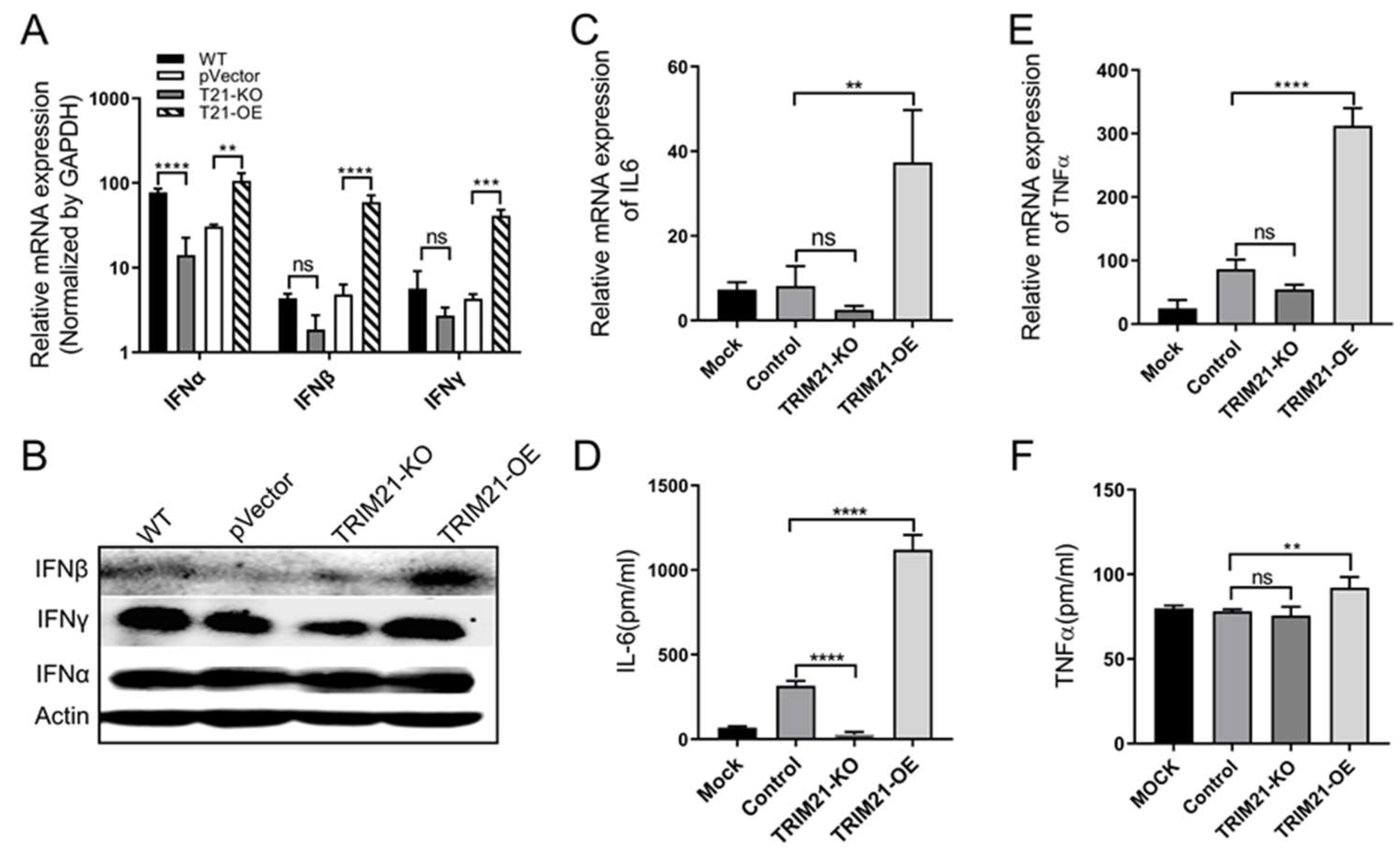 Viruses 14 00156 g005 Viruses 14 00156 g005