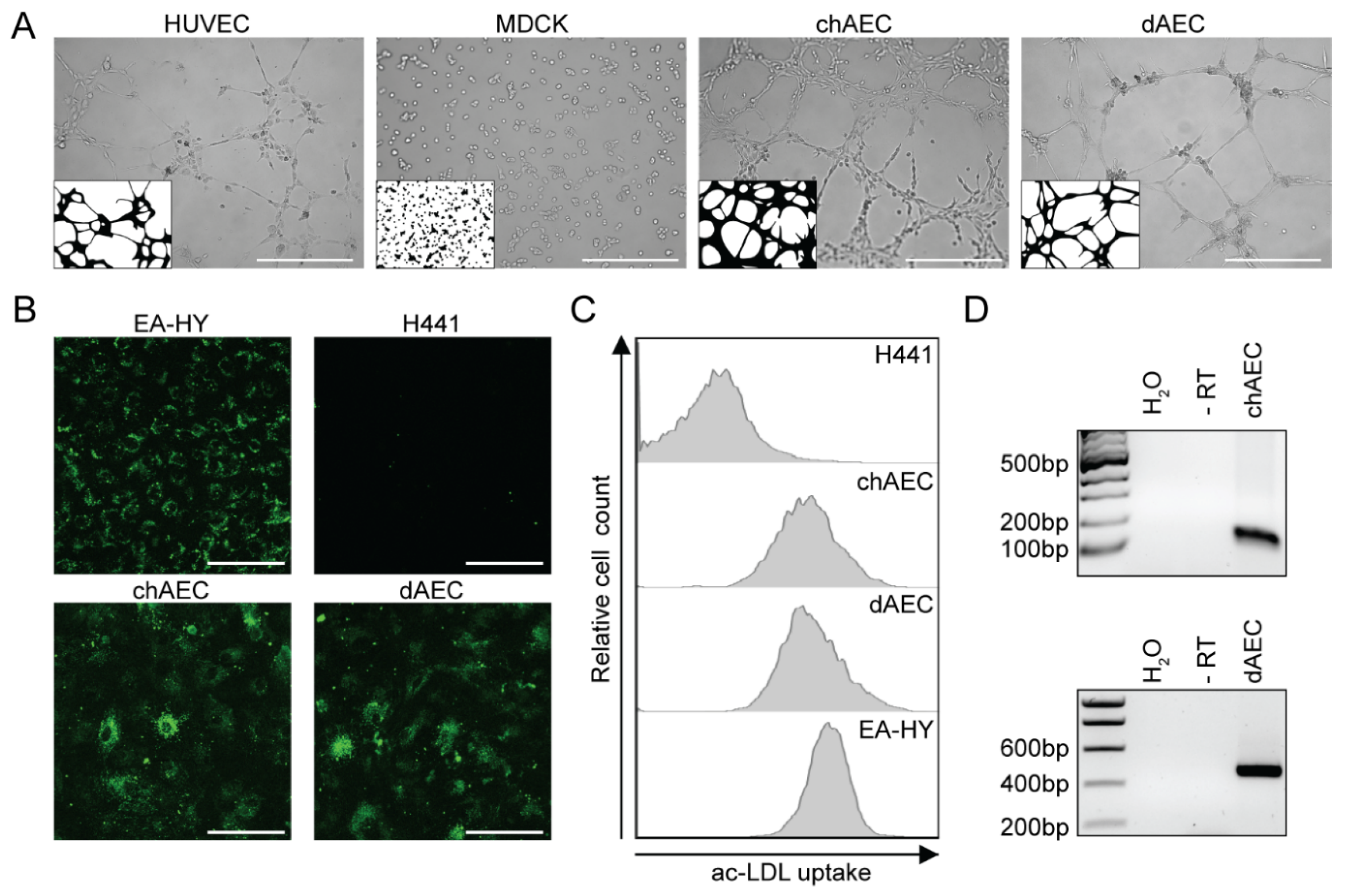Viruses 14 00165 g001 Viruses 14 00165 g001