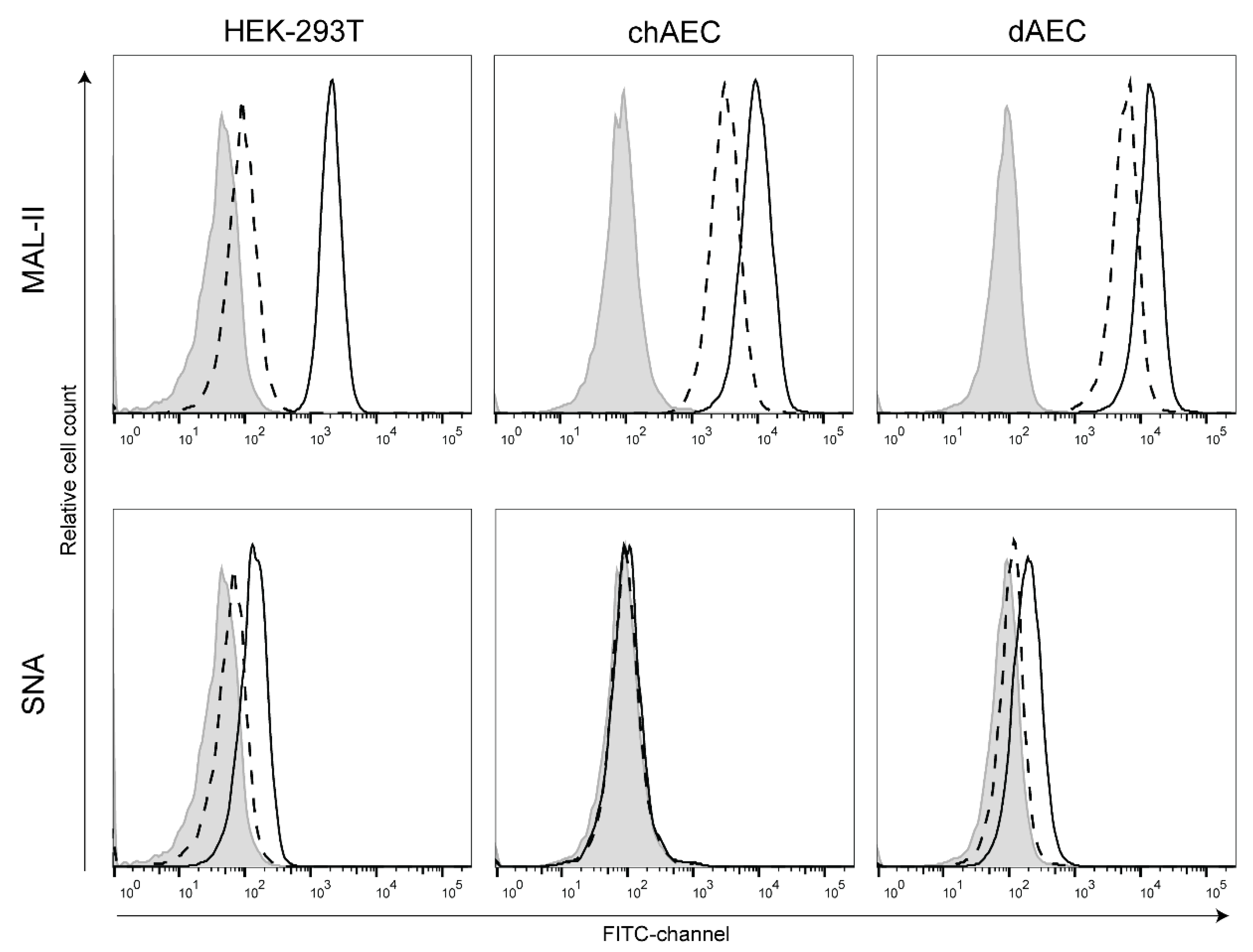 Viruses 14 00165 g002 Viruses 14 00165 g002