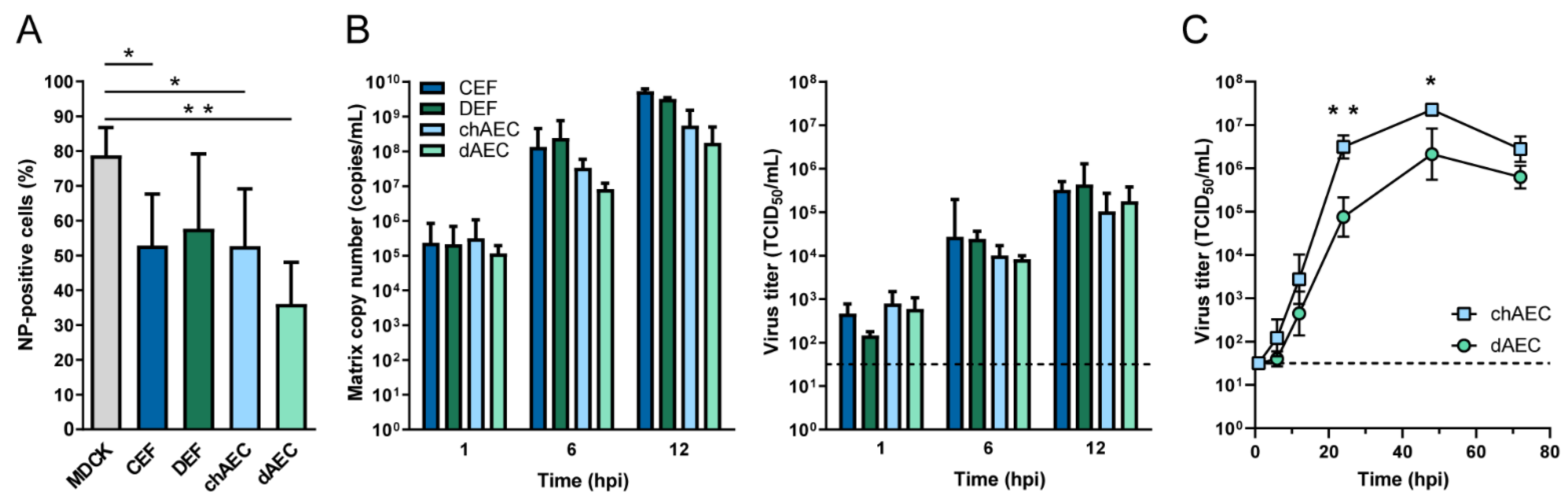 Viruses 14 00165 g003 Viruses 14 00165 g003