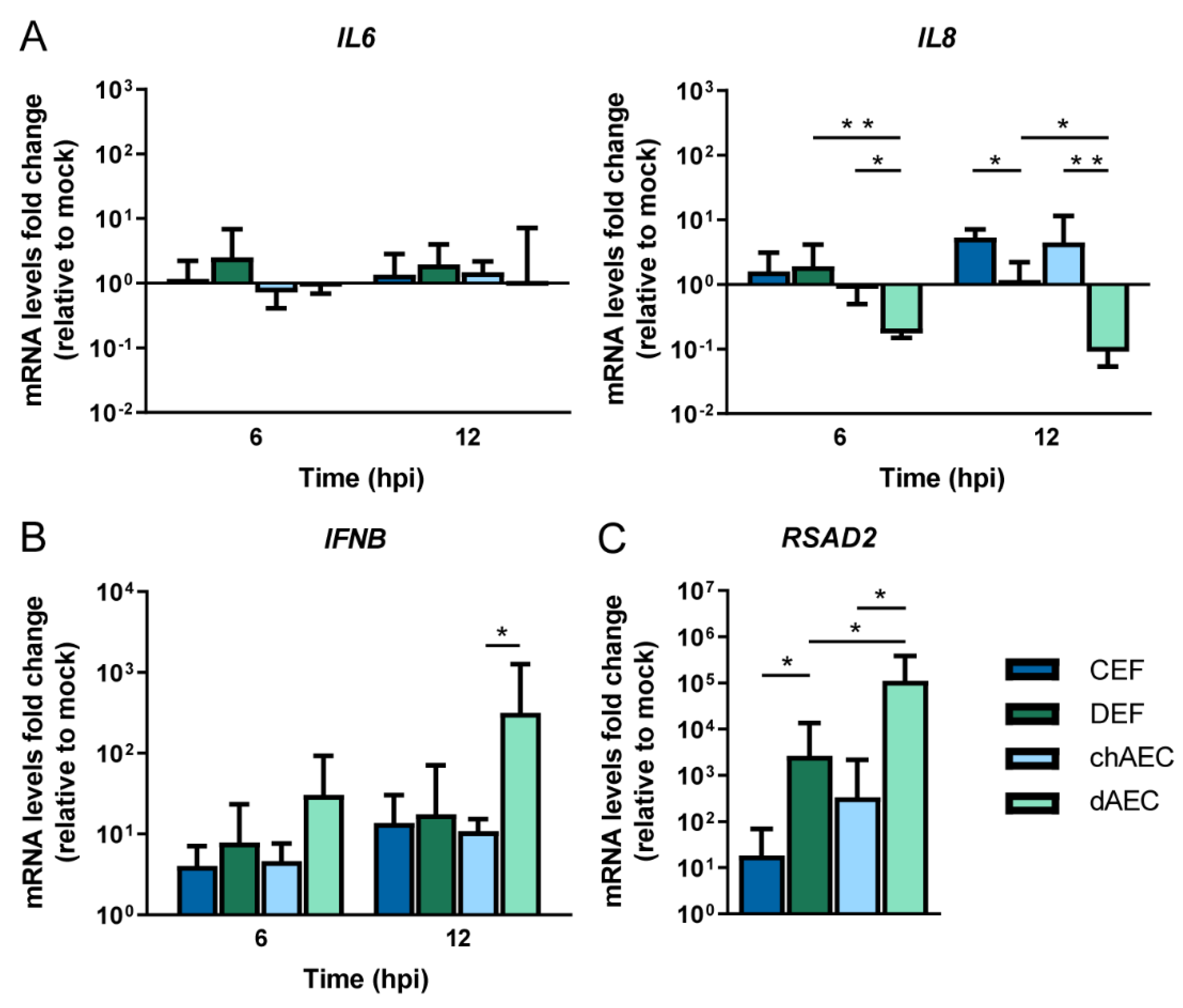 Viruses 14 00165 g004 Viruses 14 00165 g004