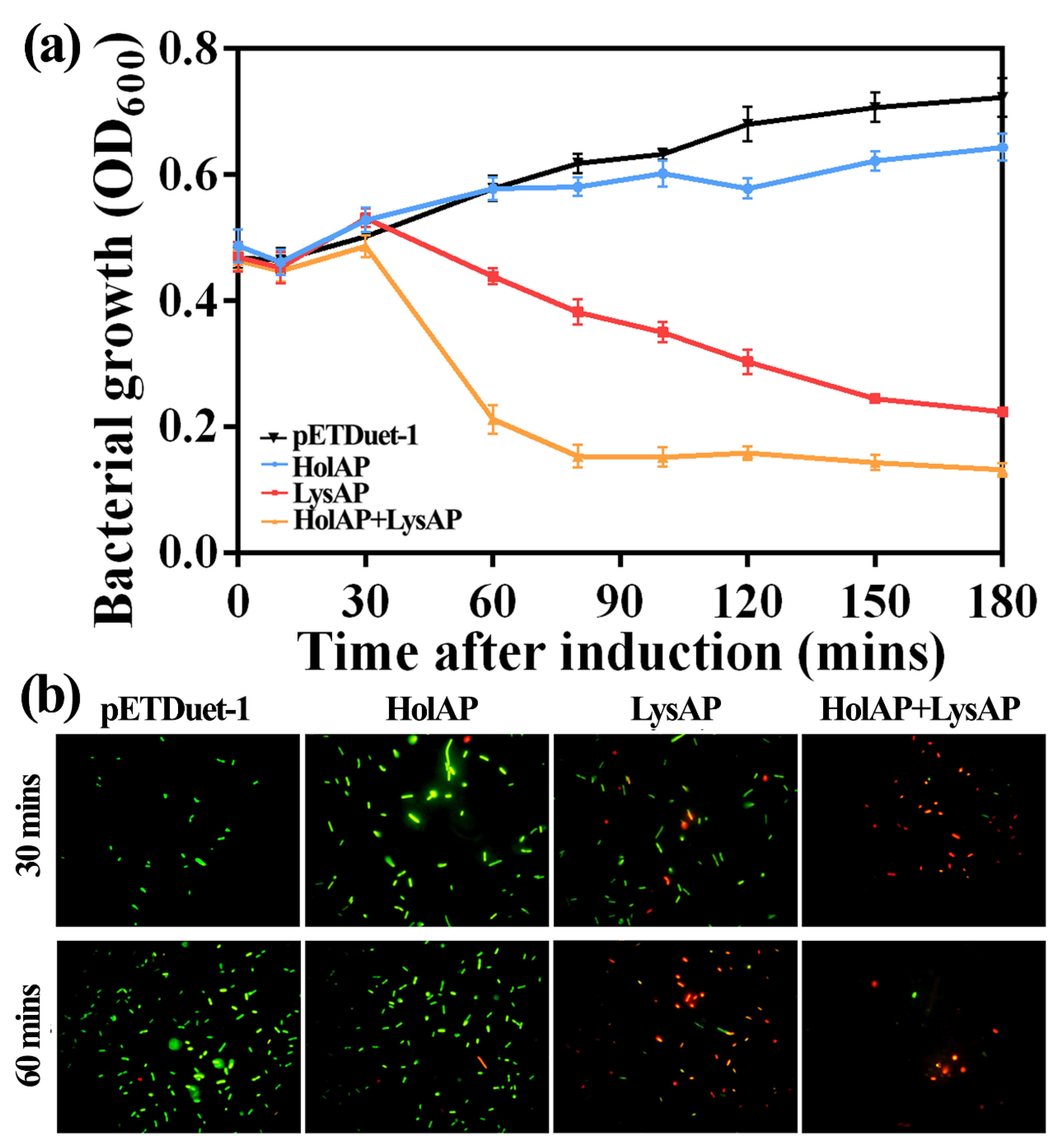 Viruses 14 00167 g003 550