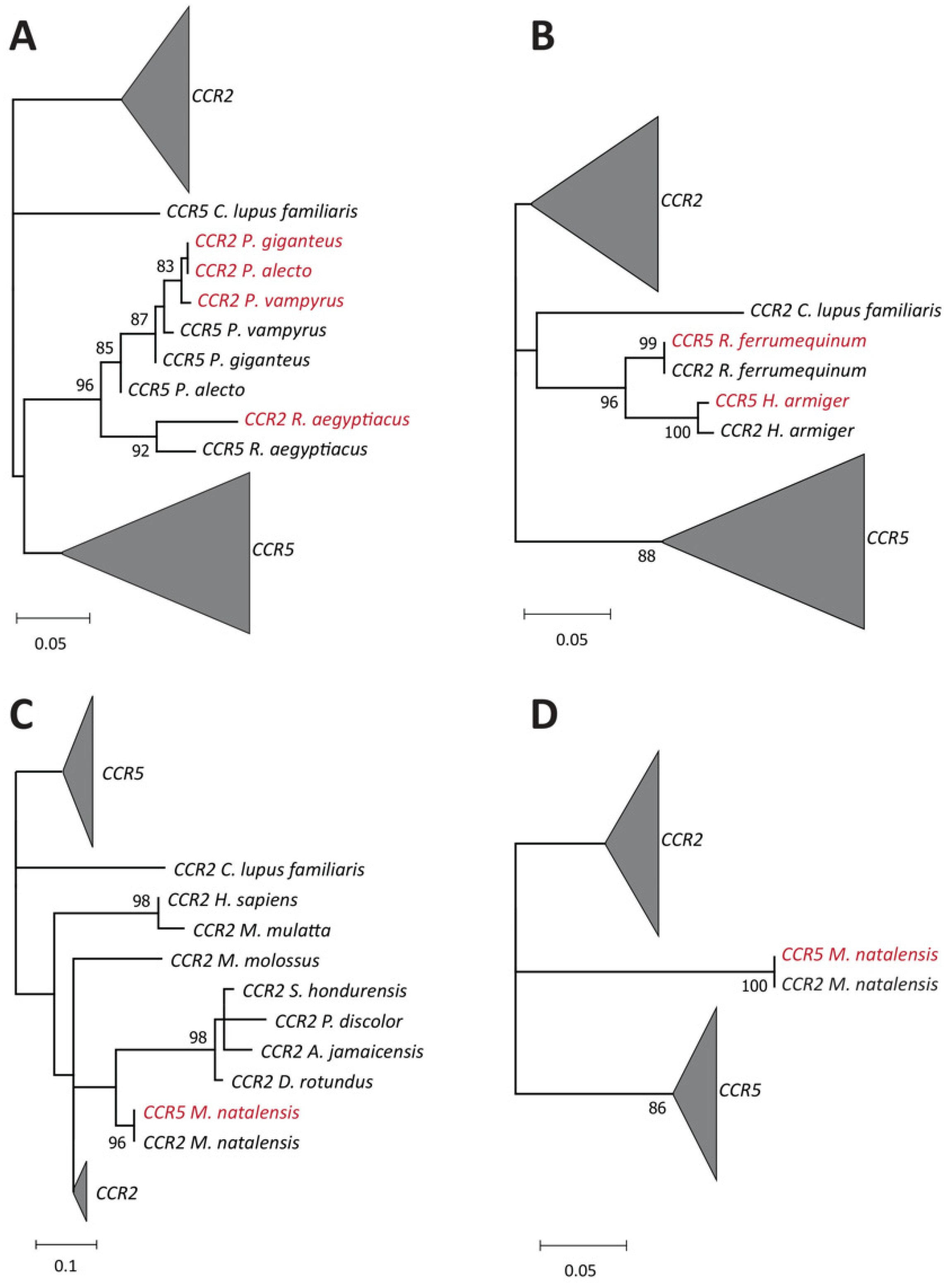 Viruses 14 00169 g003