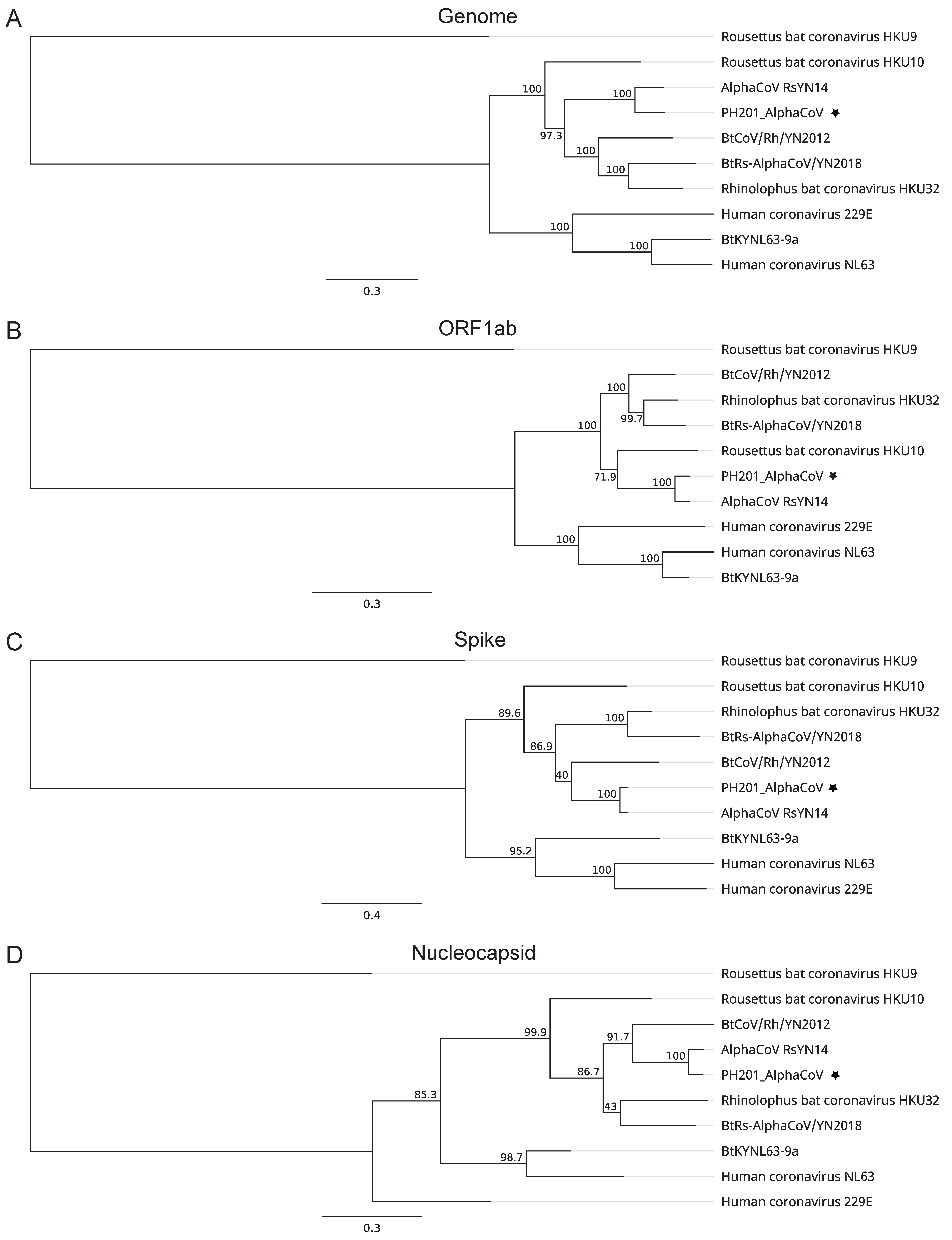 Viruses 14 00176 g004 550